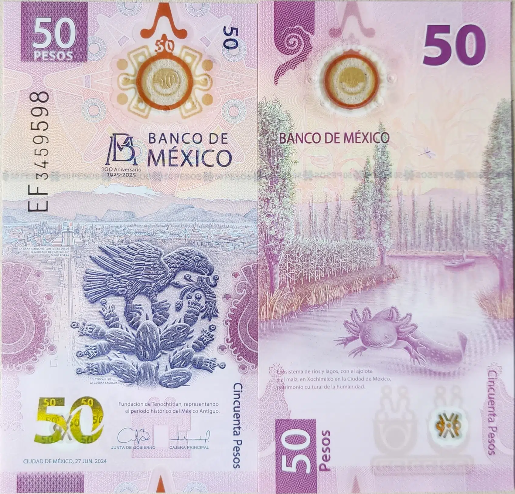 MEKSİKA 50 PESO 2024 HATIRA-BANK OF MEXICO 100.YIL-AXOLOTL TEMALI. POLYMER ÇİL.