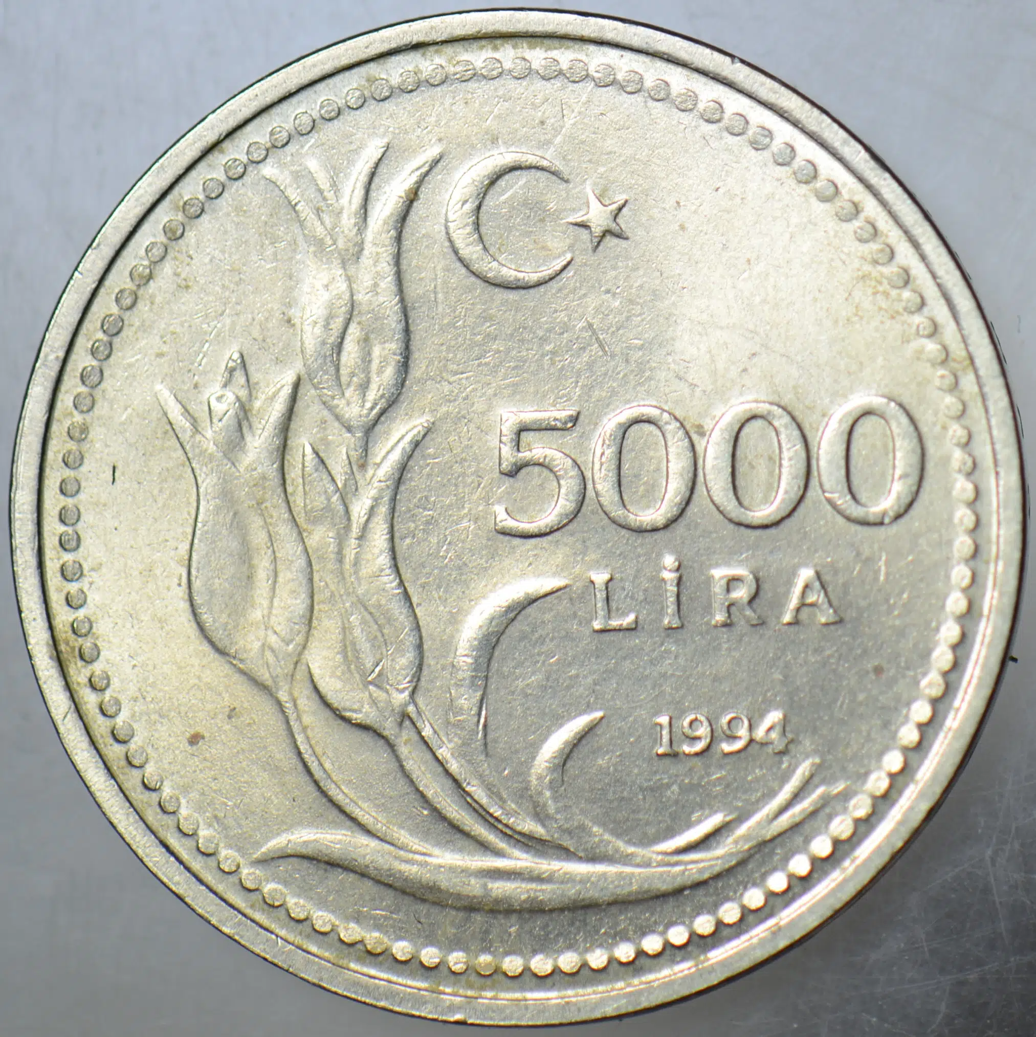 5000 LİRA 1994 ÇİLALTI.