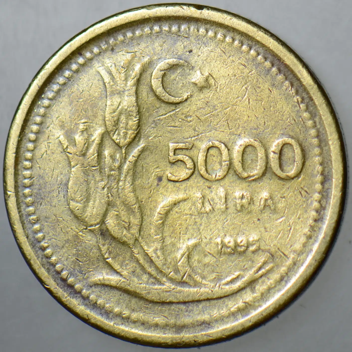 5000 LİRA 1995 KALIN TİP.