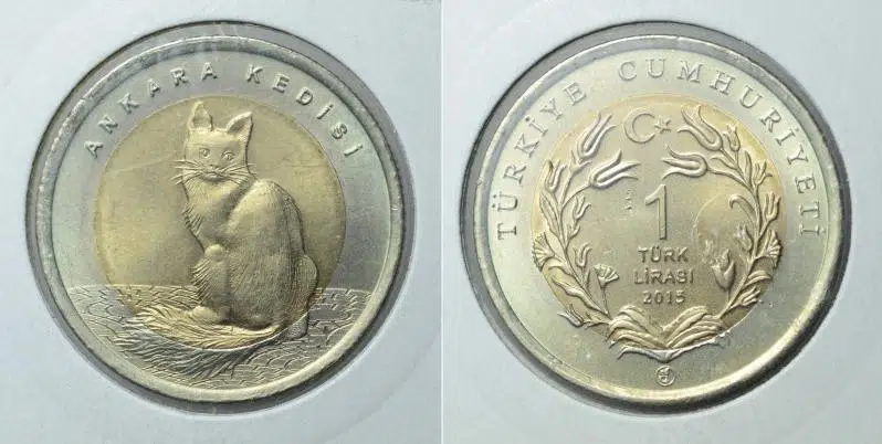 ANKARA KEDİSİ 1 LİRA 2015 HATIRA PARA. LEUCHTTURM MARKA KAPAMA İÇİNDE ÇİL KONDİSYON.