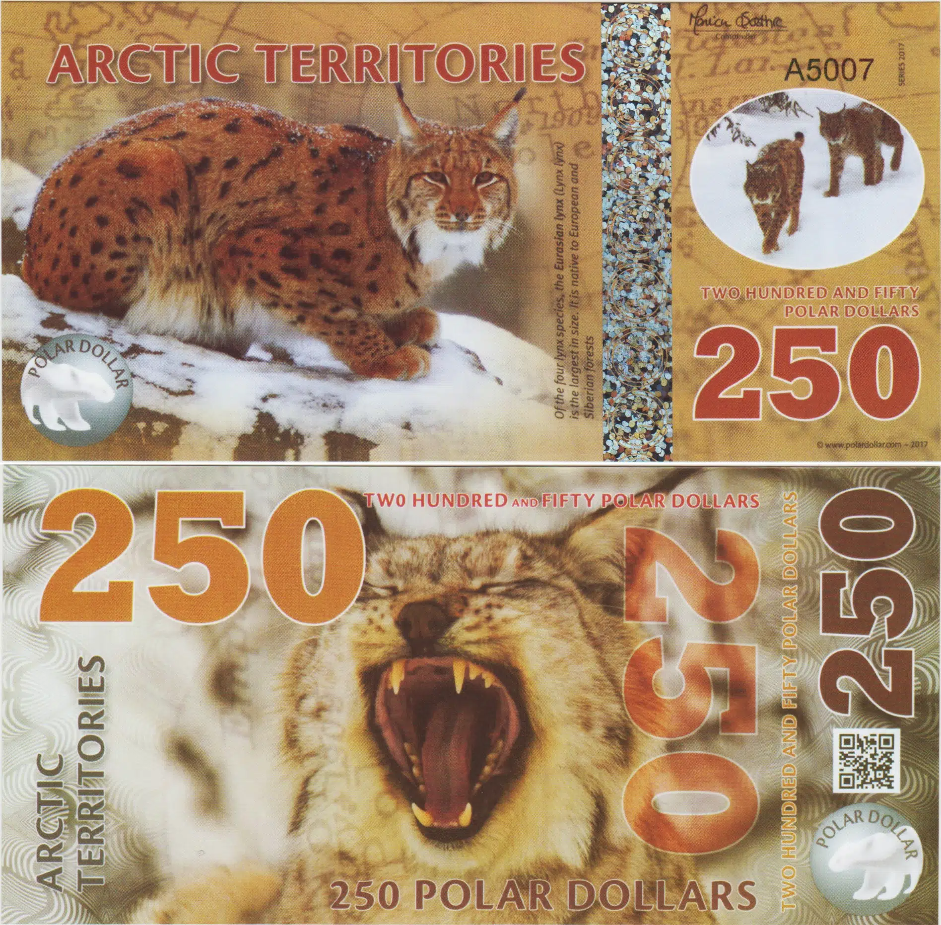ARCTİC TERRİTORİES 250 POLAR DOLAR 2017 AVRASYA VAŞAĞI TEMALI. POLYMER ÇİL