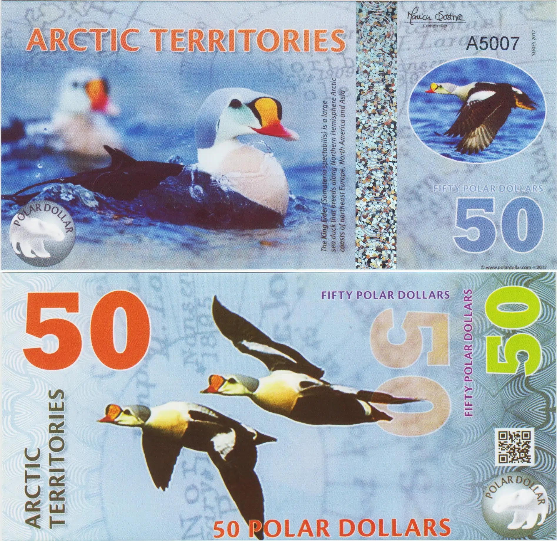 ARCTİC TERRİTORİES 50 POLAR DOLAR 2017 KRAL ÖRDEĞİ TEMALI. POLYMER ÇİL