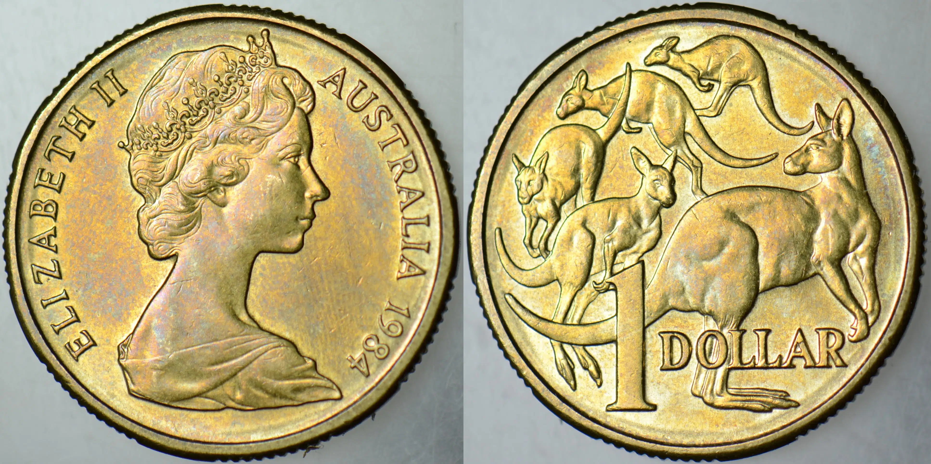 AVUSTRALYA 1 DOLAR 1984 KRALİÇE II. ELİZABETH. KANGURU TEMALI 25 mm ÇİLALTI.