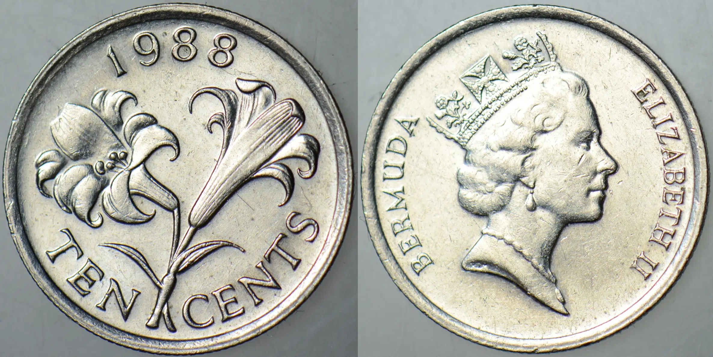 BERMUDA 10 CENT 1988 BERMUDA ZAMBAĞI TEMALI. KRALİÇE II. ELİZABETH. ÇİLALTI
