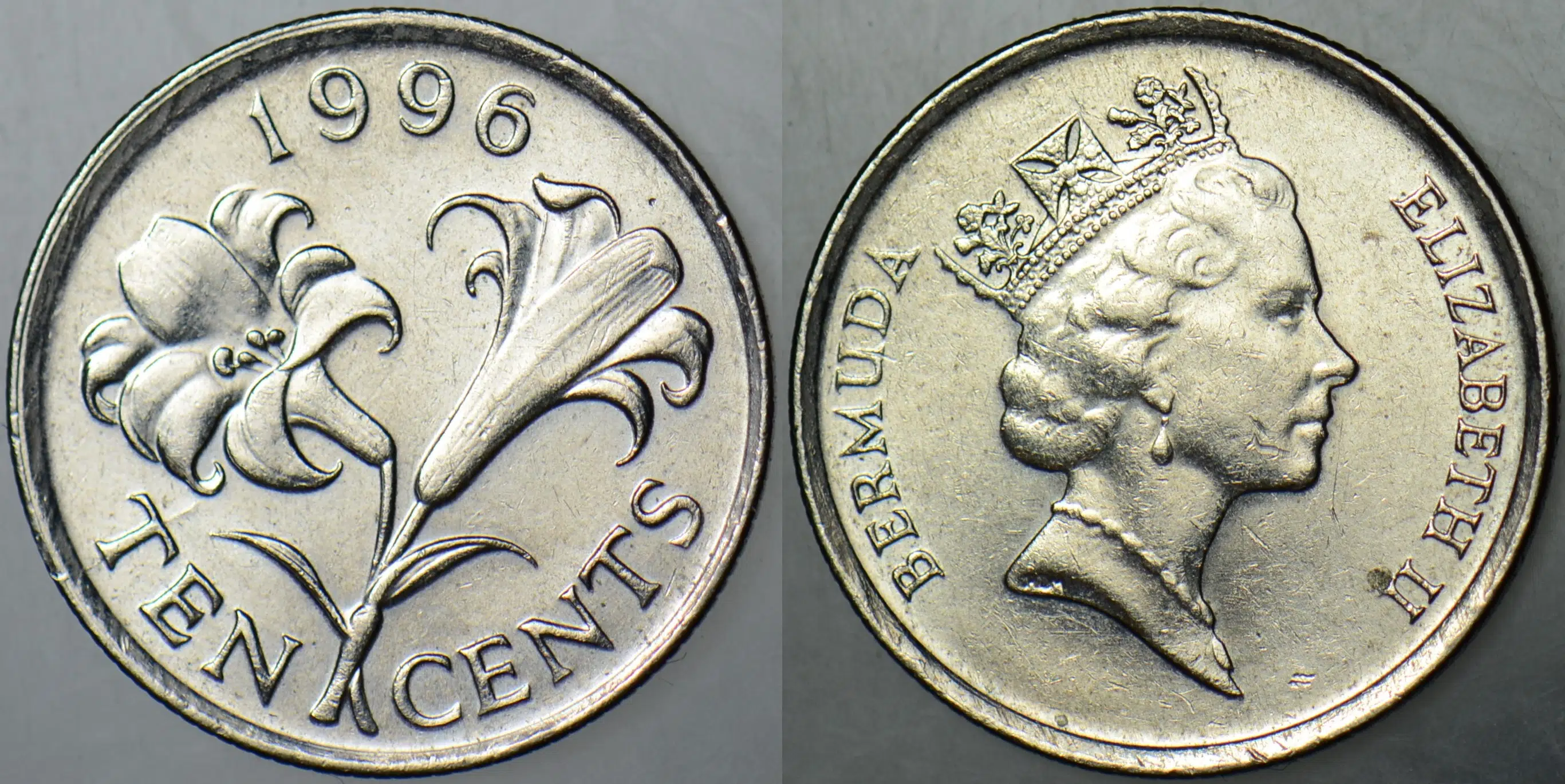 BERMUDA 10 CENT 1996 BERMUDA ZAMBAĞI TEMALI. KRALİÇE II. ELİZABETH. ÇİLALTI