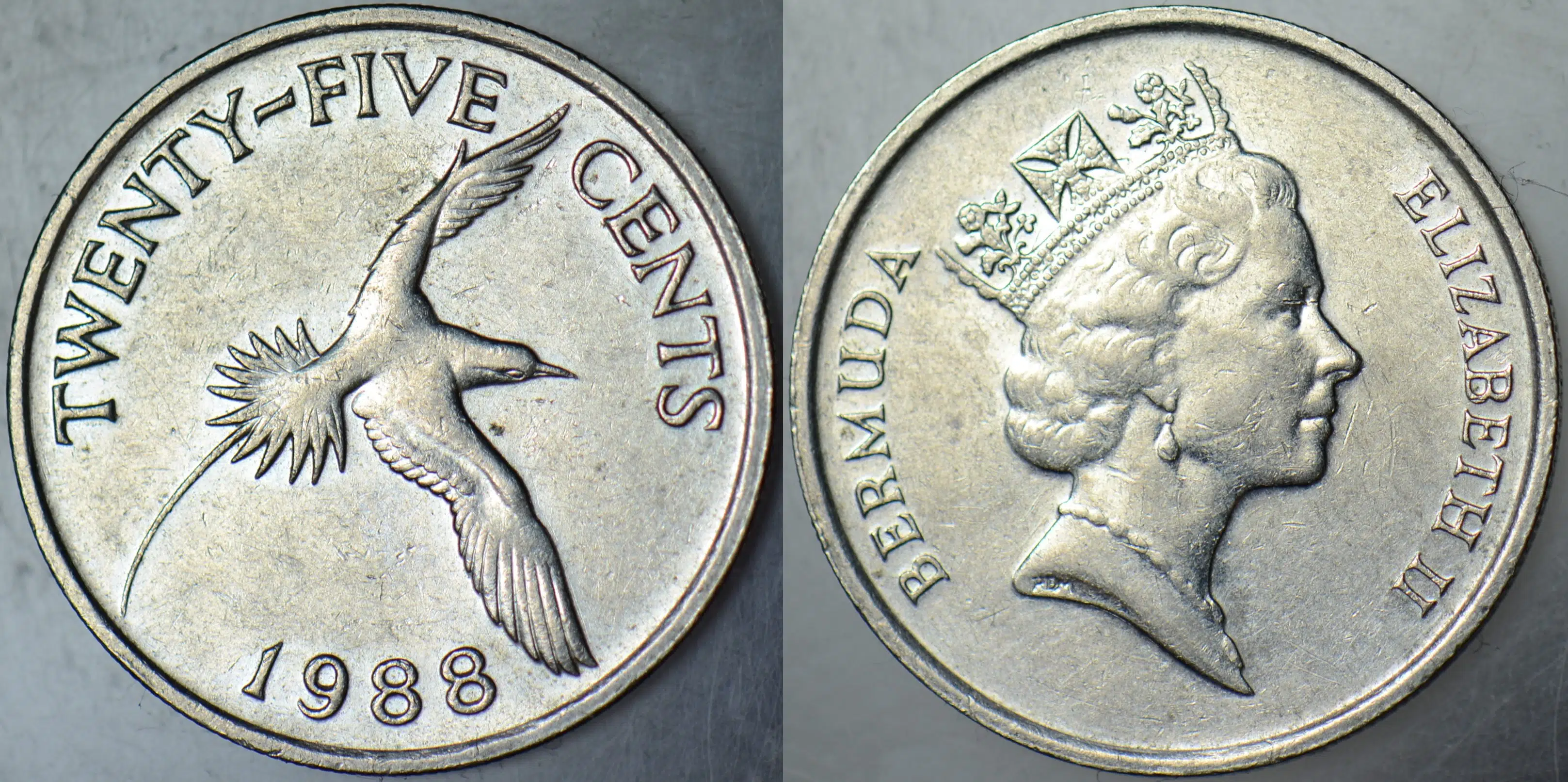 BERMUDA 25 CENT 1988 AK KUYRUKLU TROPİK KUŞ. KRALİÇE II. ELİZABETH.
