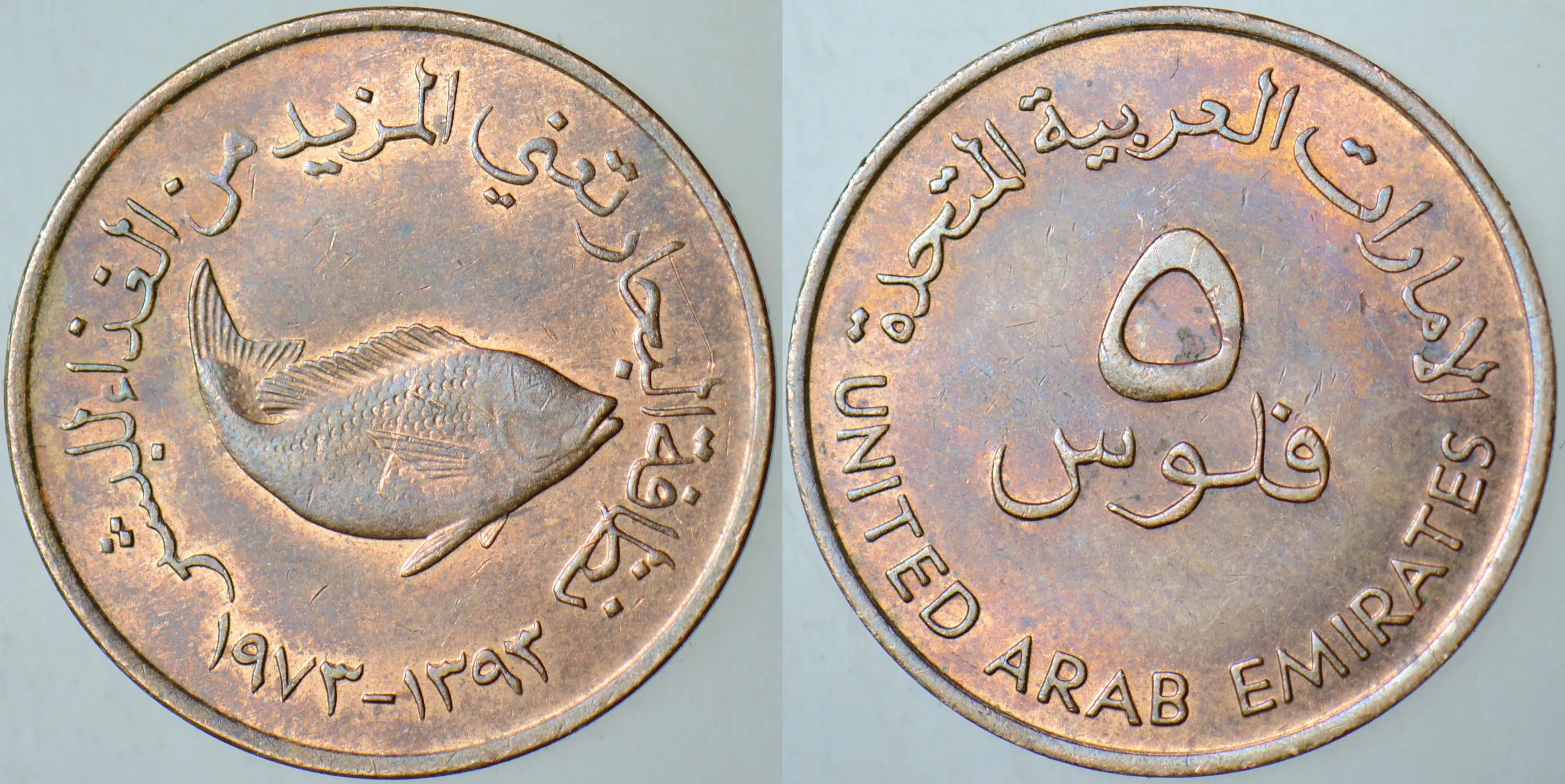 BİRLEŞİK ARAP EMİRLİKLERİ 5 FİLS 1973 FAO. BALIK VE BALIKÇILIK TEMALI. AZ ÇIKAR. ÇİLALTI.