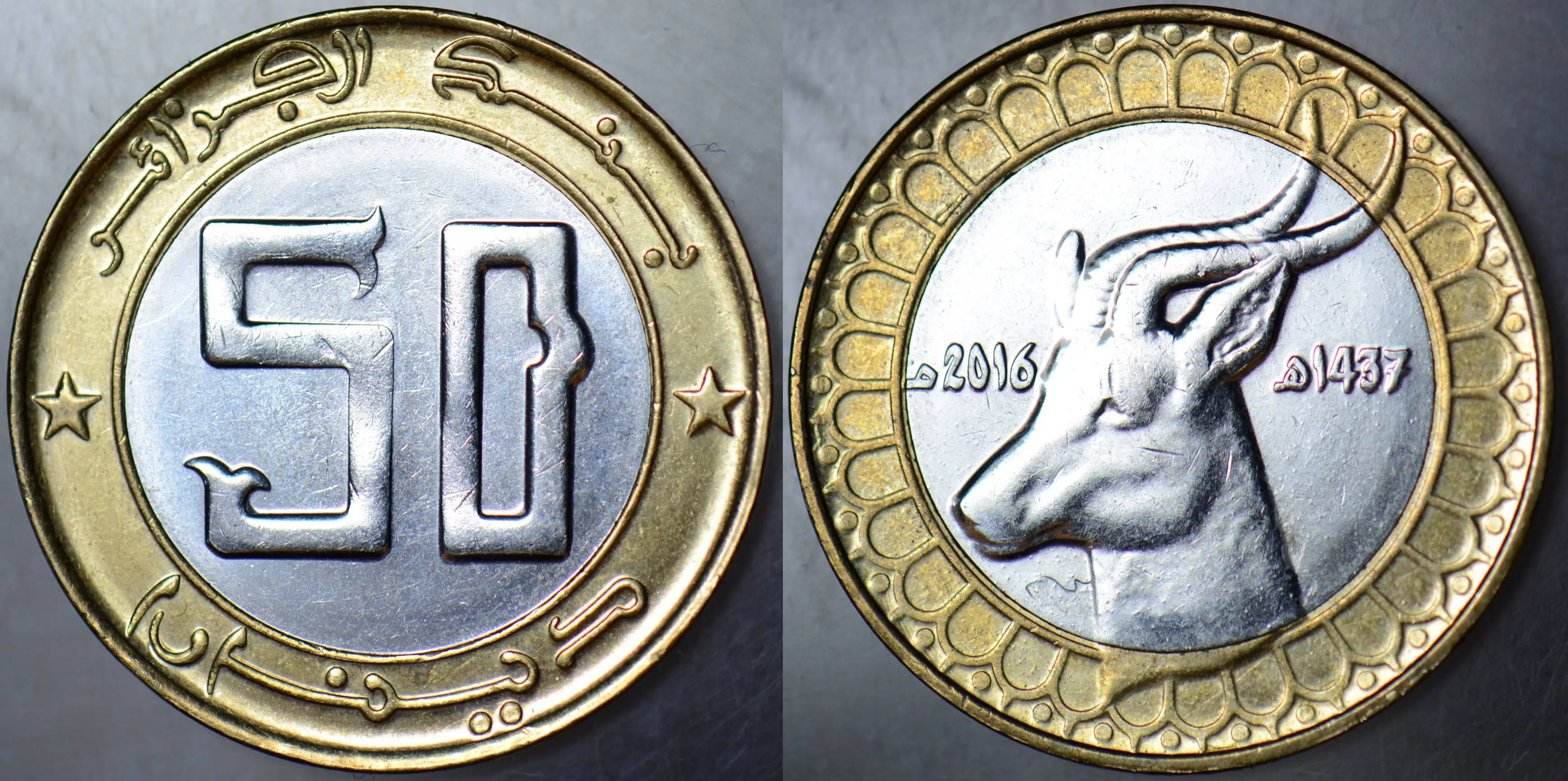 CEZAYİR 50 DİNAR 2016 GAZEL TEMALI BİMETAL. ÇİLALTI.