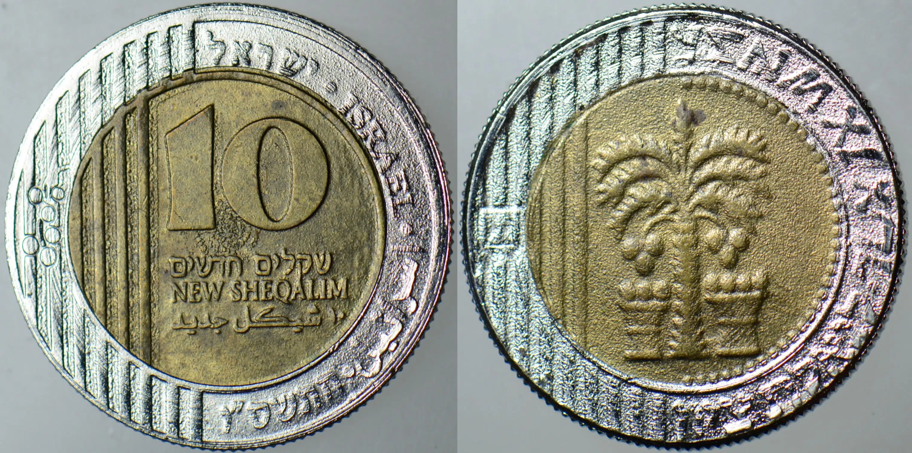 DÖNEM SAHTESİ-İSRAİL 10 ŞEKEL BİMETAL.