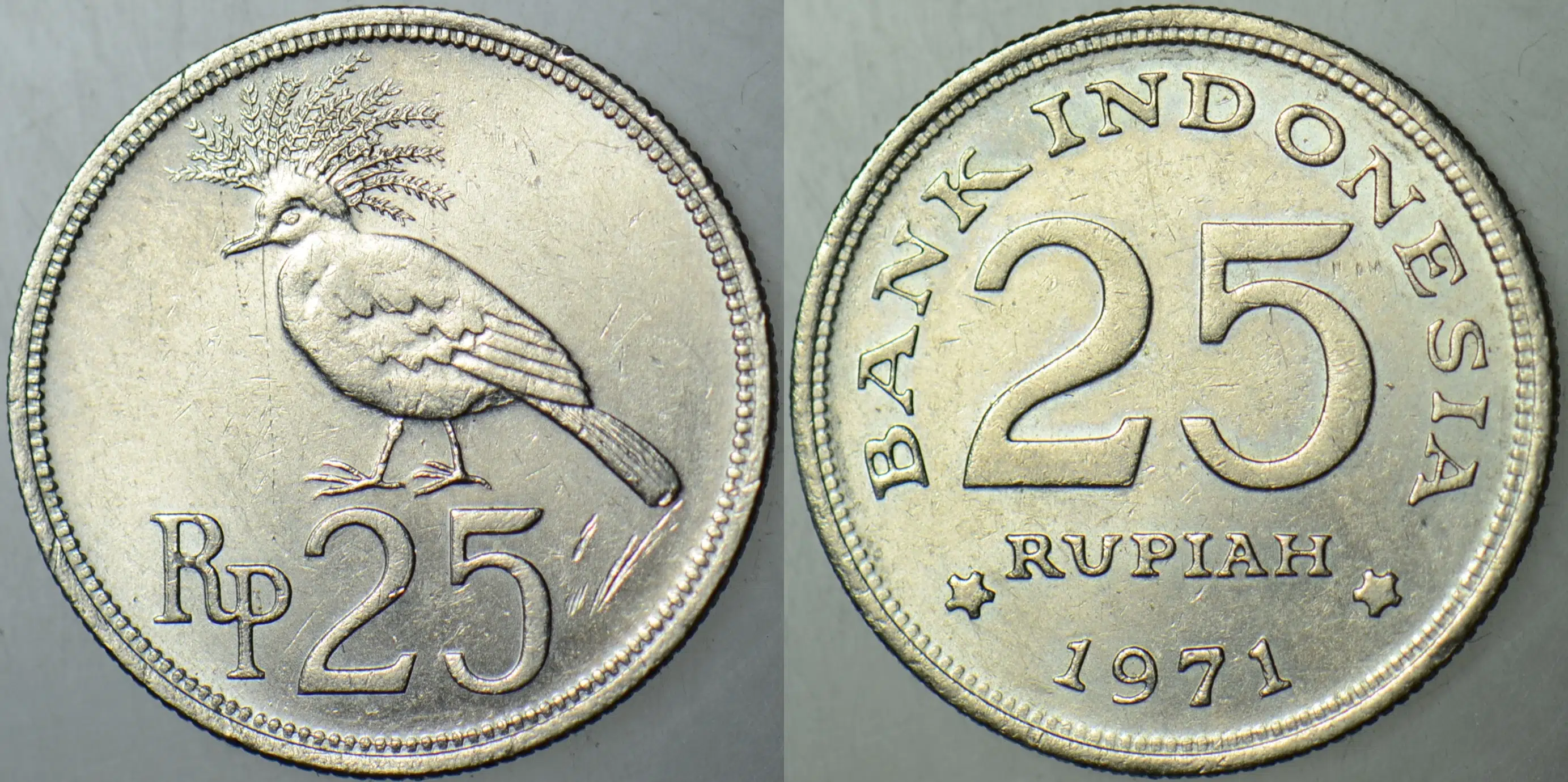 ENDONEZYA 25 RUPİAH 1971 ÇİLALTI+