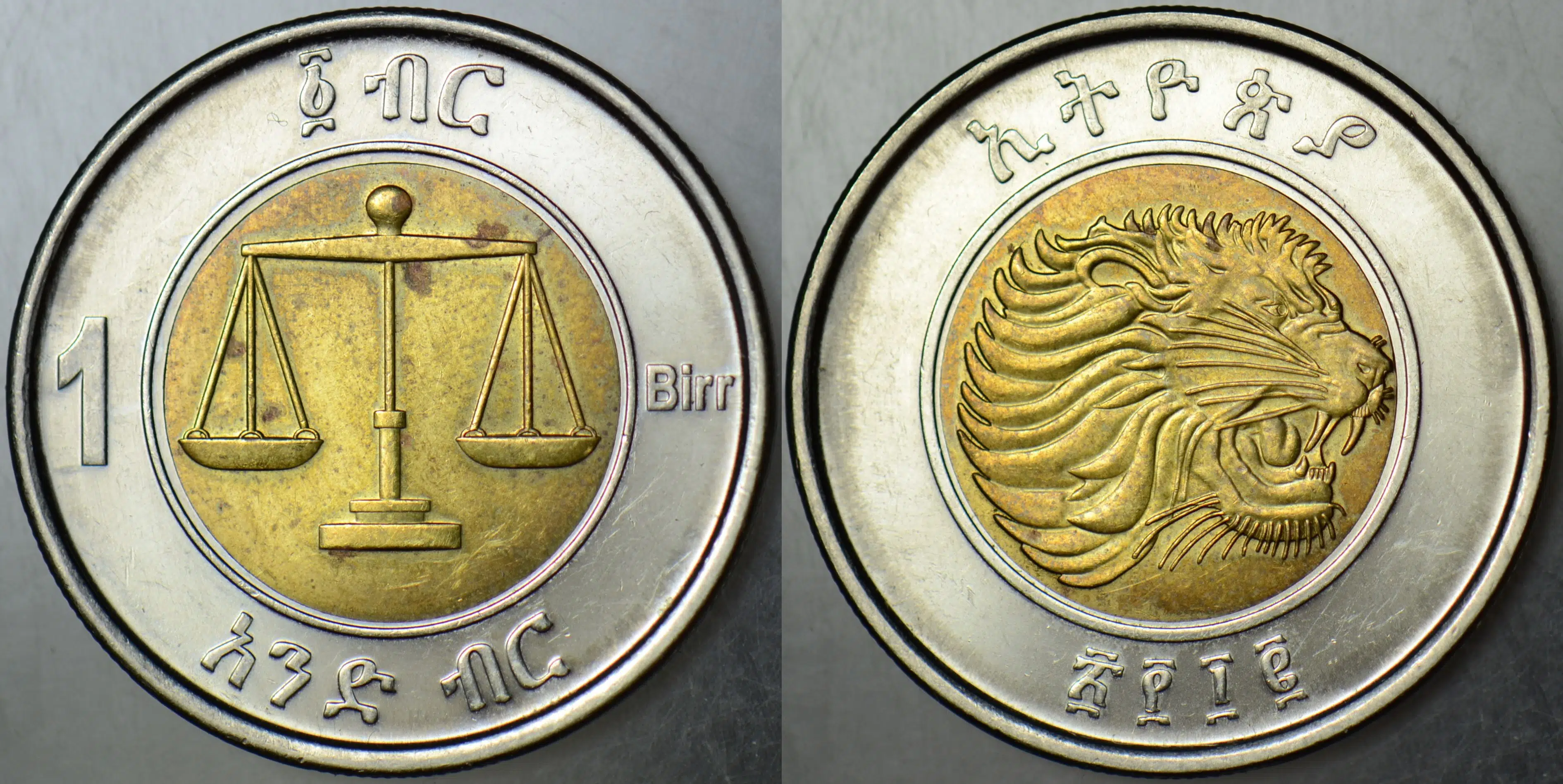 ETİYOPYA 1 BIRR 2010 ASLAN GÖRSELLİ. ÇİLALTI
