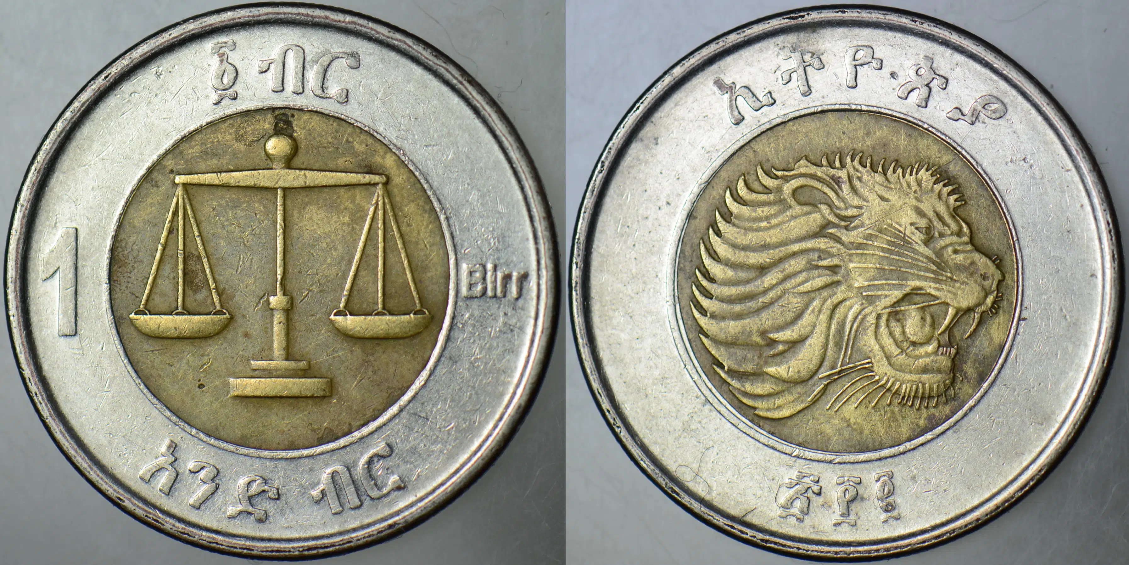 ETİYOPYA 1 BİRR 2010 ASLAN GÖRSELLİ.