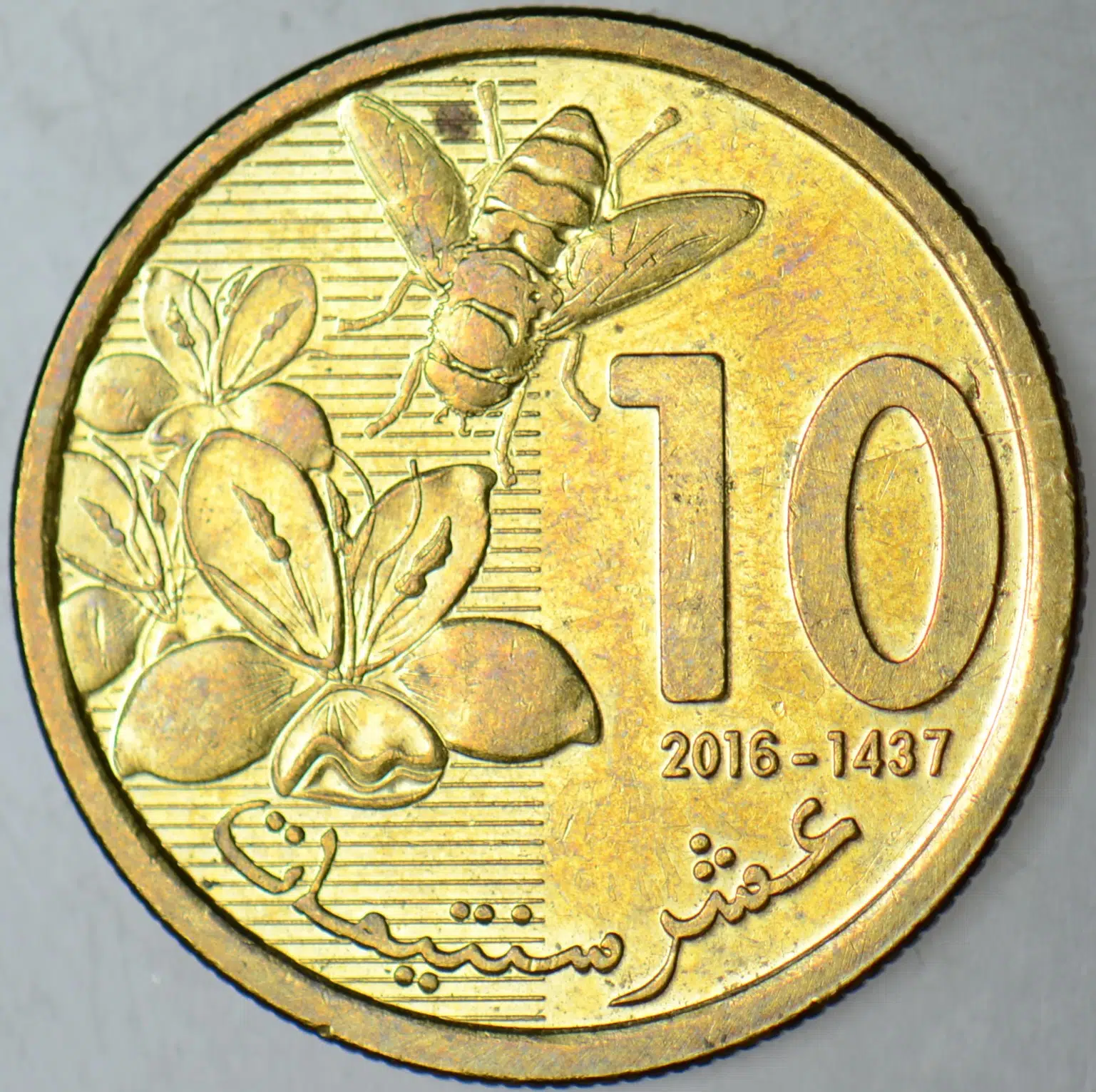 FAS 10 SANTİMAT 2016 ARI-ARICILIK TEMALI. ÇİLALTI.