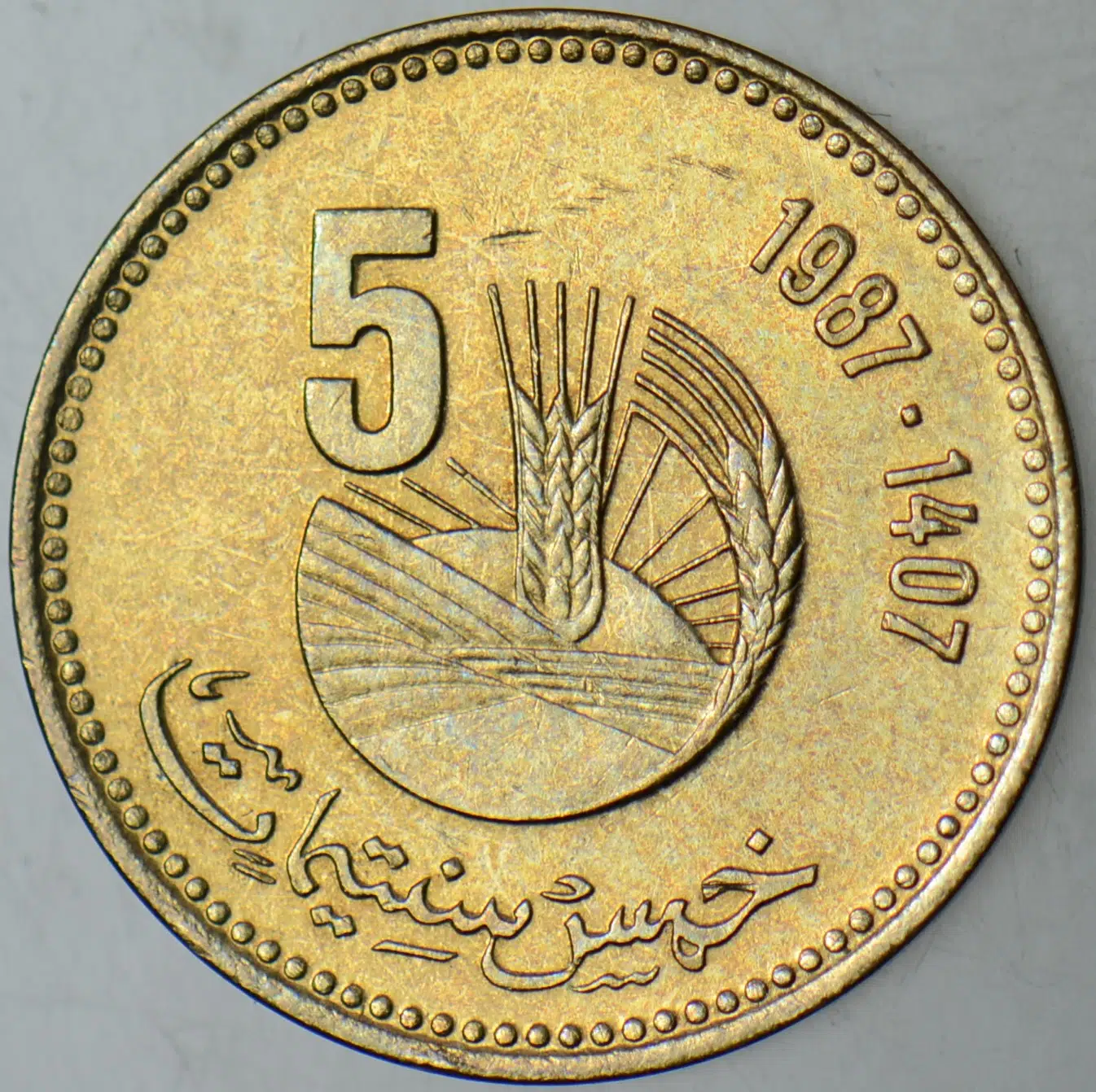 FAS 5 SANTİMAT 1987 FAO. ÇİLALTI+