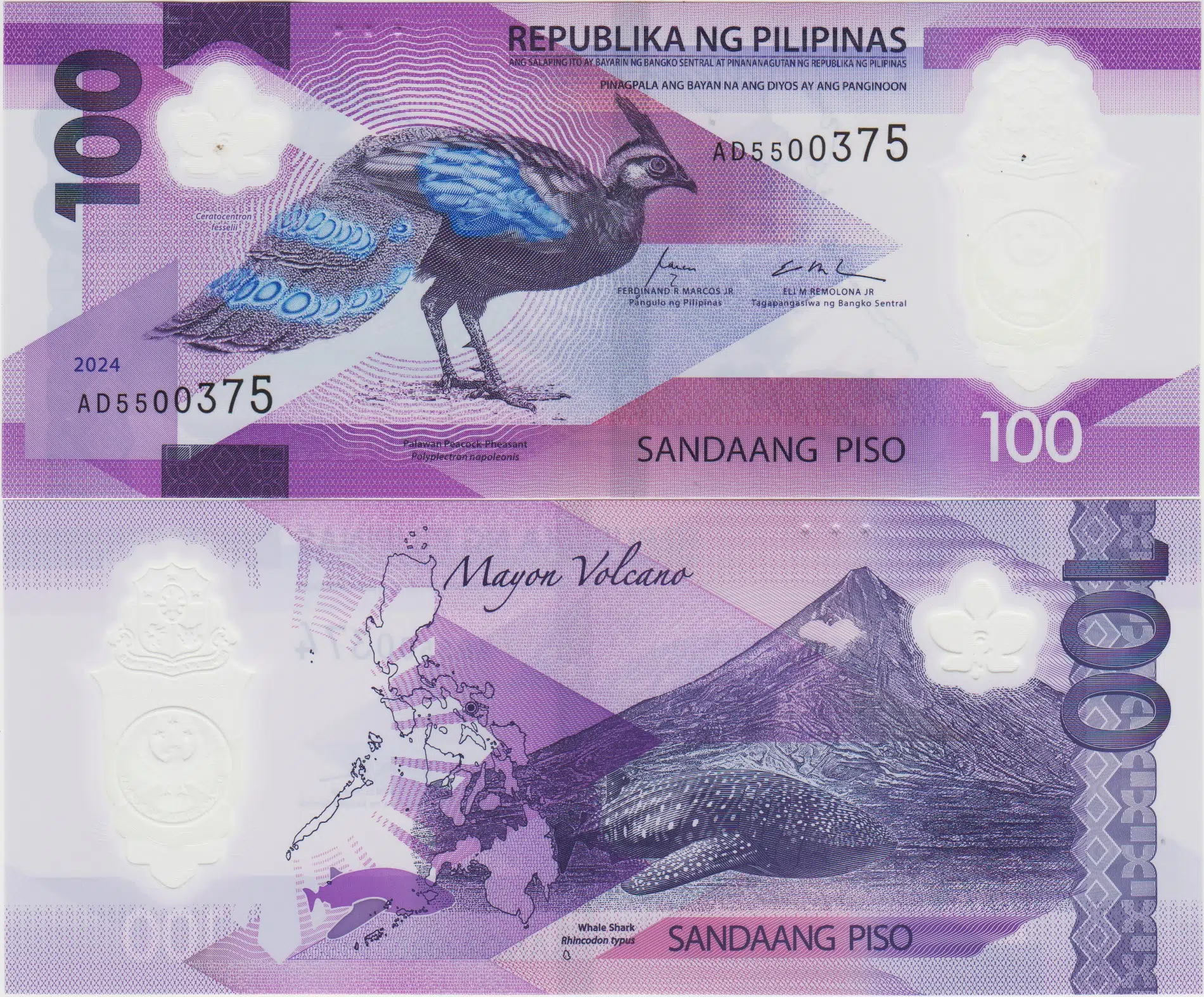 FİLİPİNLER 100 PISO 2024 TAVUSKUŞU ve BALİNA KÖPEKBALIĞI TEMALI. ÇİL KONDSİYON.