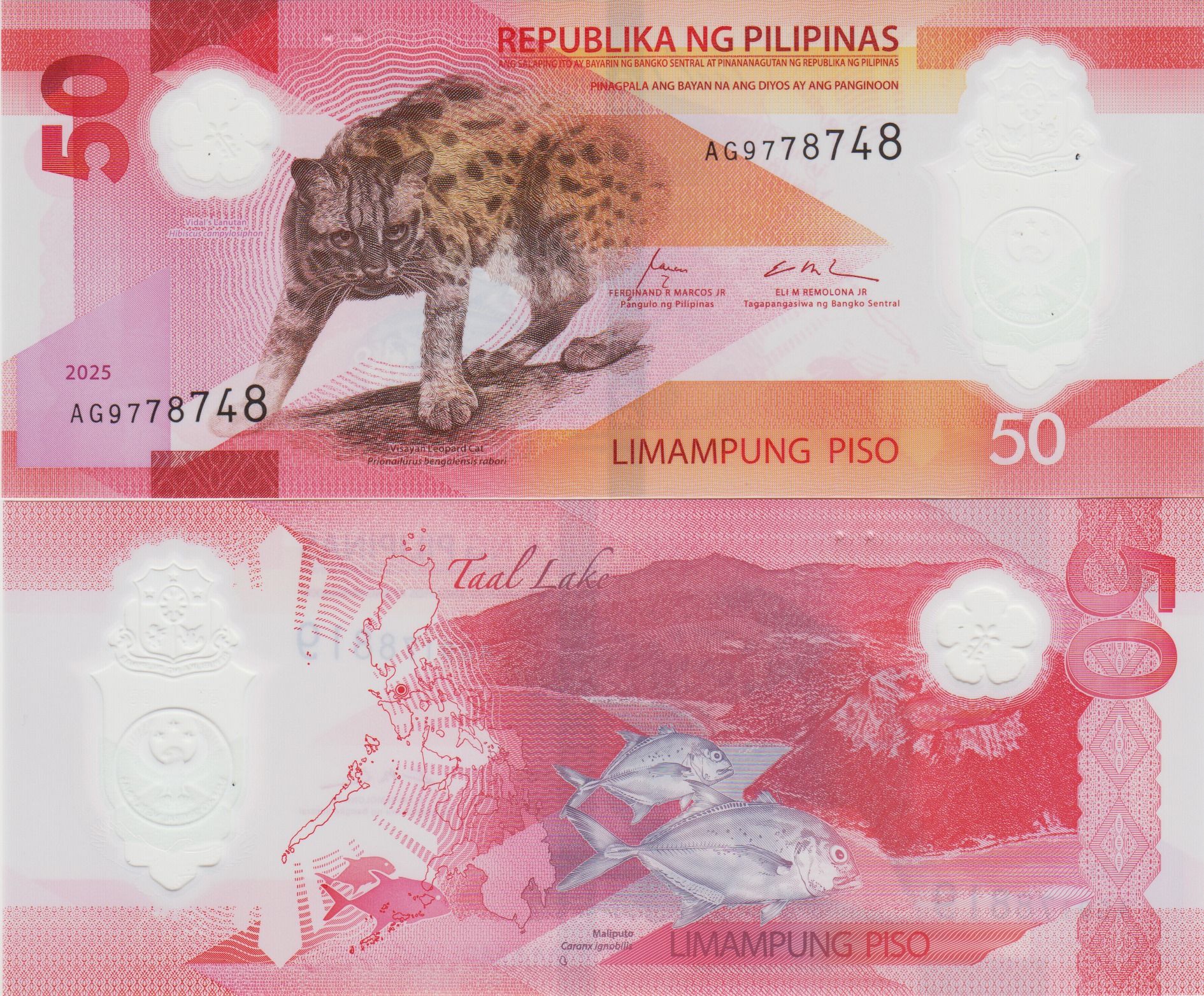  FİLİPİNLER 50 PISO 2025 LEOPAR KEDİSİ TEMALI. ÇİL KONDSİYON.
