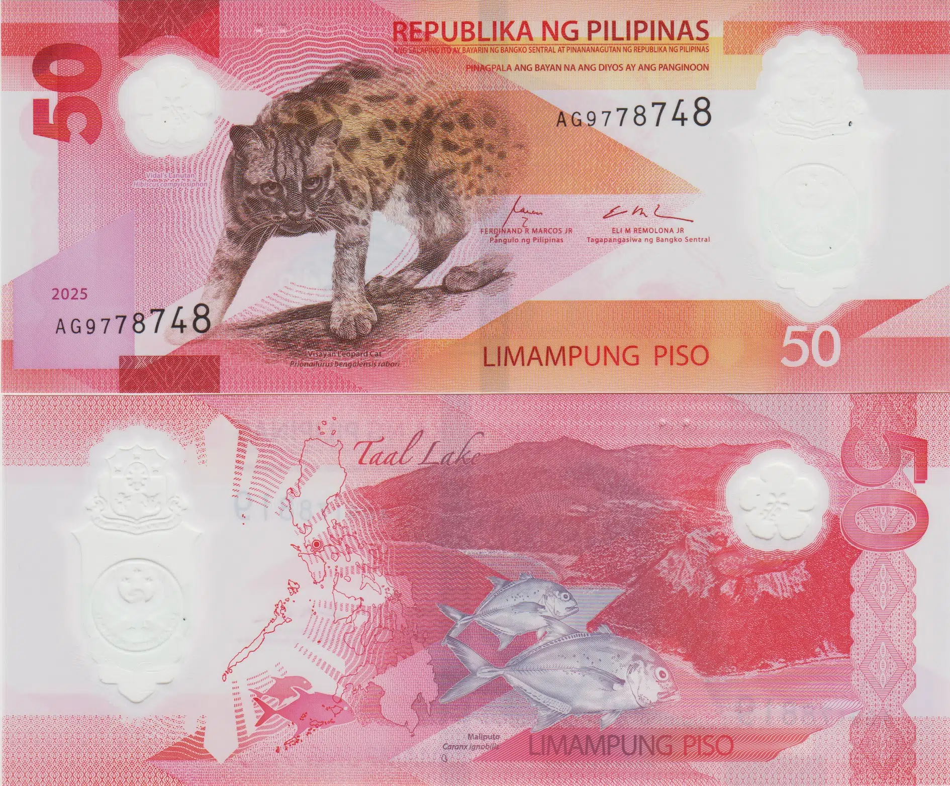 FİLİPİNLER 50 PISO 2025 LEOPAR KEDİSİ TEMALI. ÇİL KONDSİYON.