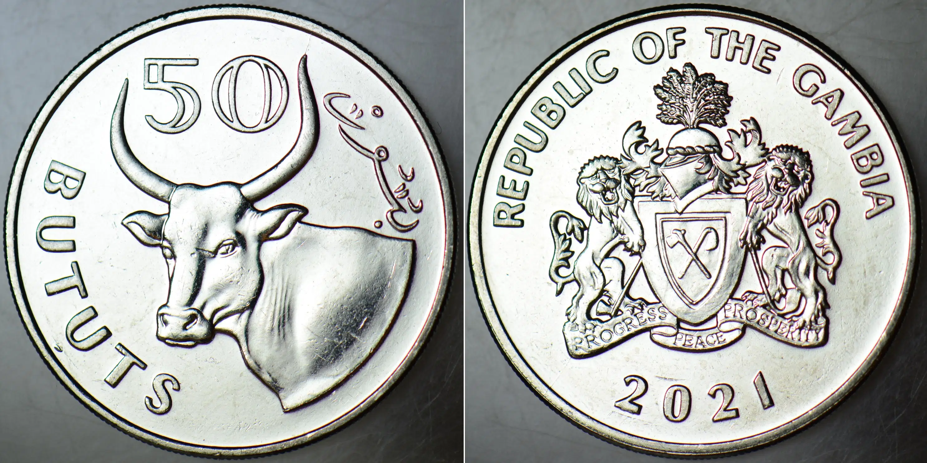 GAMBİYA 50 BUTUT 2021 ÇİL KONDİSYON. AZ ÇIKAR.