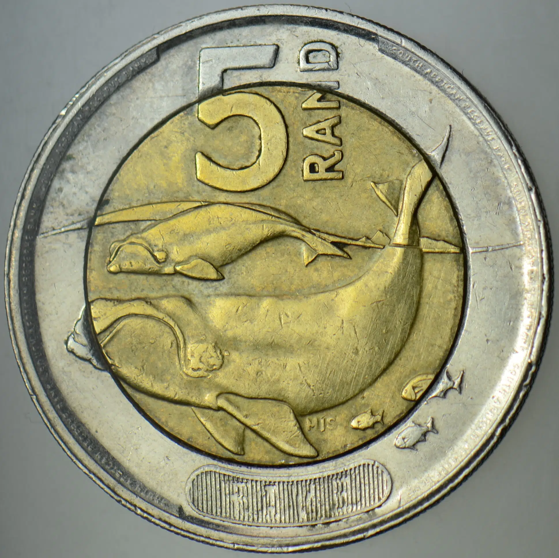 GÜNEY AFRİKA 5 RAND 2023 GÜNEY GERÇEK BALİNASI TEMALI. BİMETAL.