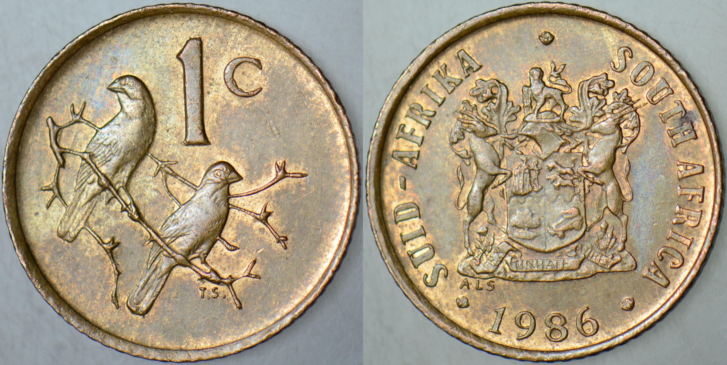 GÜNEY AFRİKA CUMHURİYETİ 1 CENT 1986 ÇİLALTI.