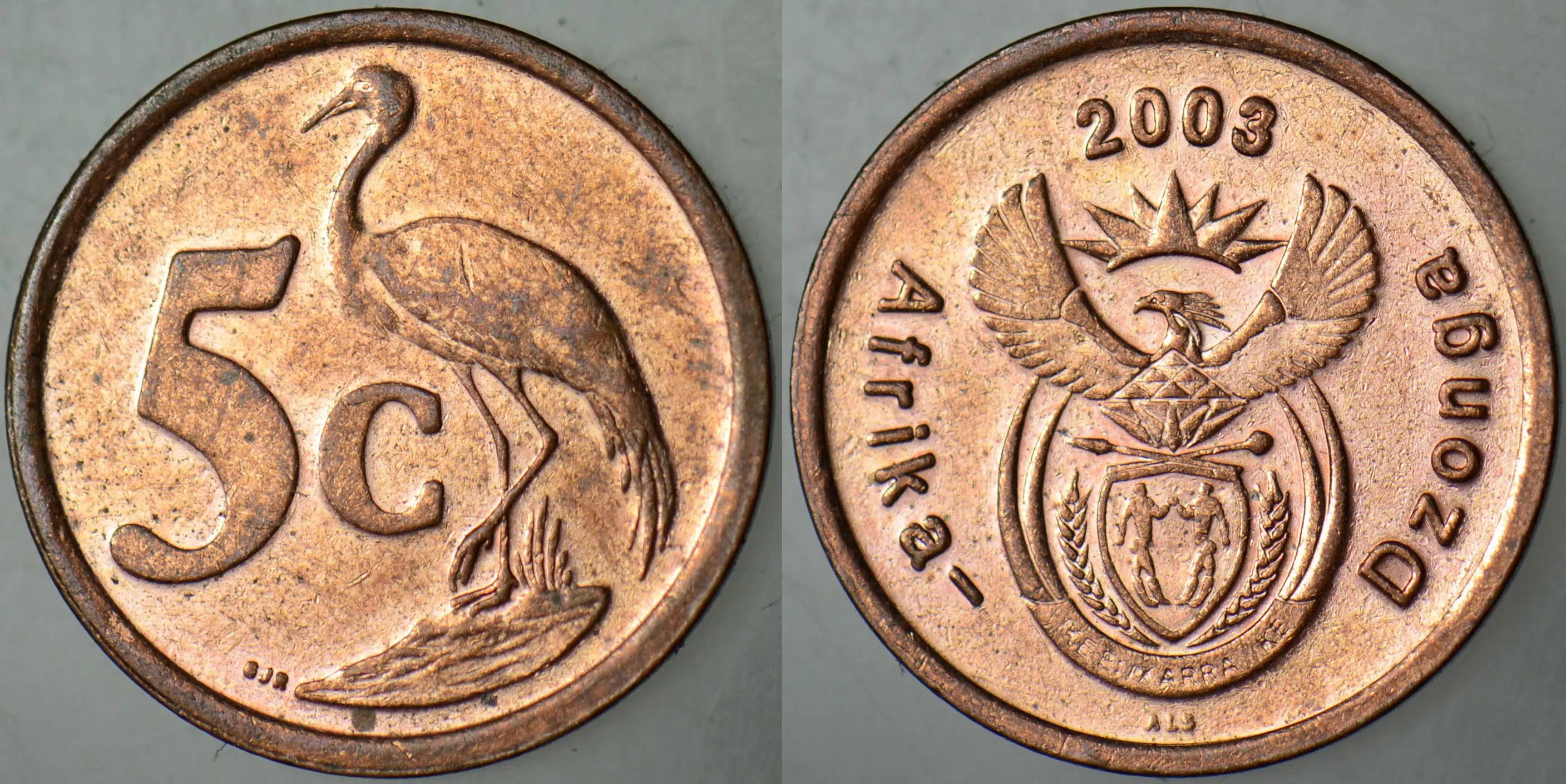 GÜNEY AFRİKA CUMHURİYETİ 5 CENT 2003 MAVİ TURNA TEMALI. ÇİLALTI.