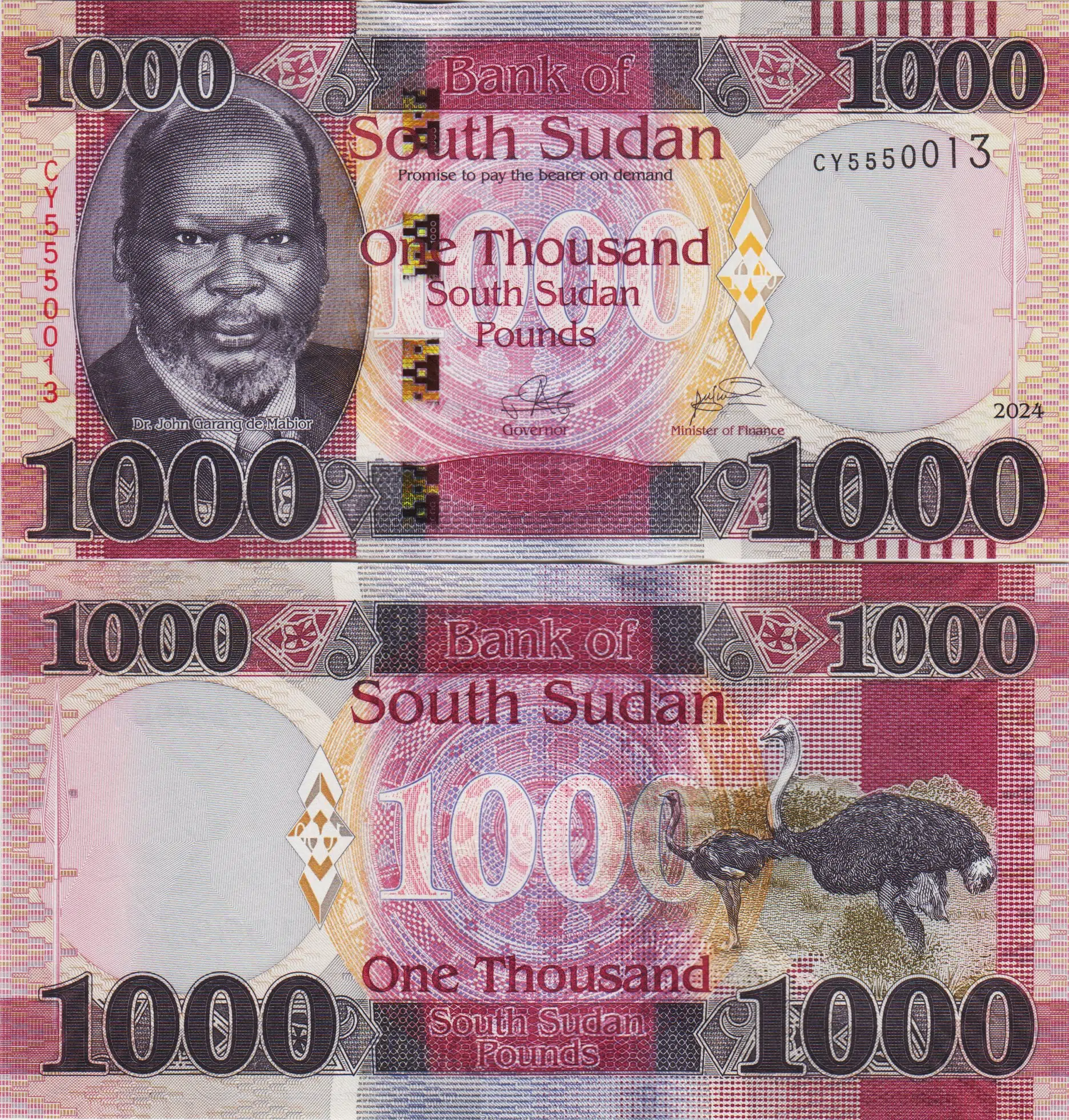 GÜNEY SUDAN 1000 POUND 2024 DEVEKUŞU TEMALI. ÇİL KONDİSYON.