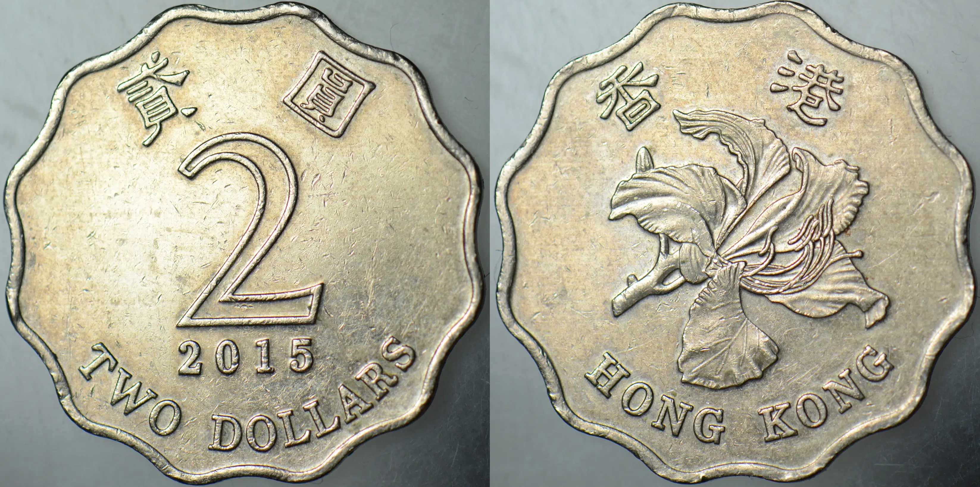 HONG KONG 2 DOLAR 2015.