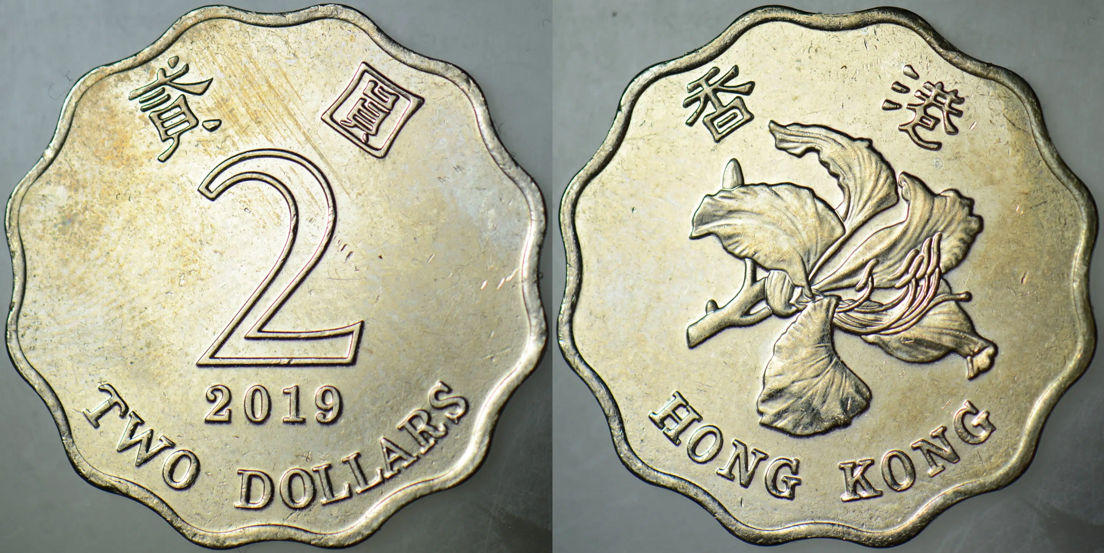 HONG KONG 2 DOLAR 2019 ÇİLALTI.