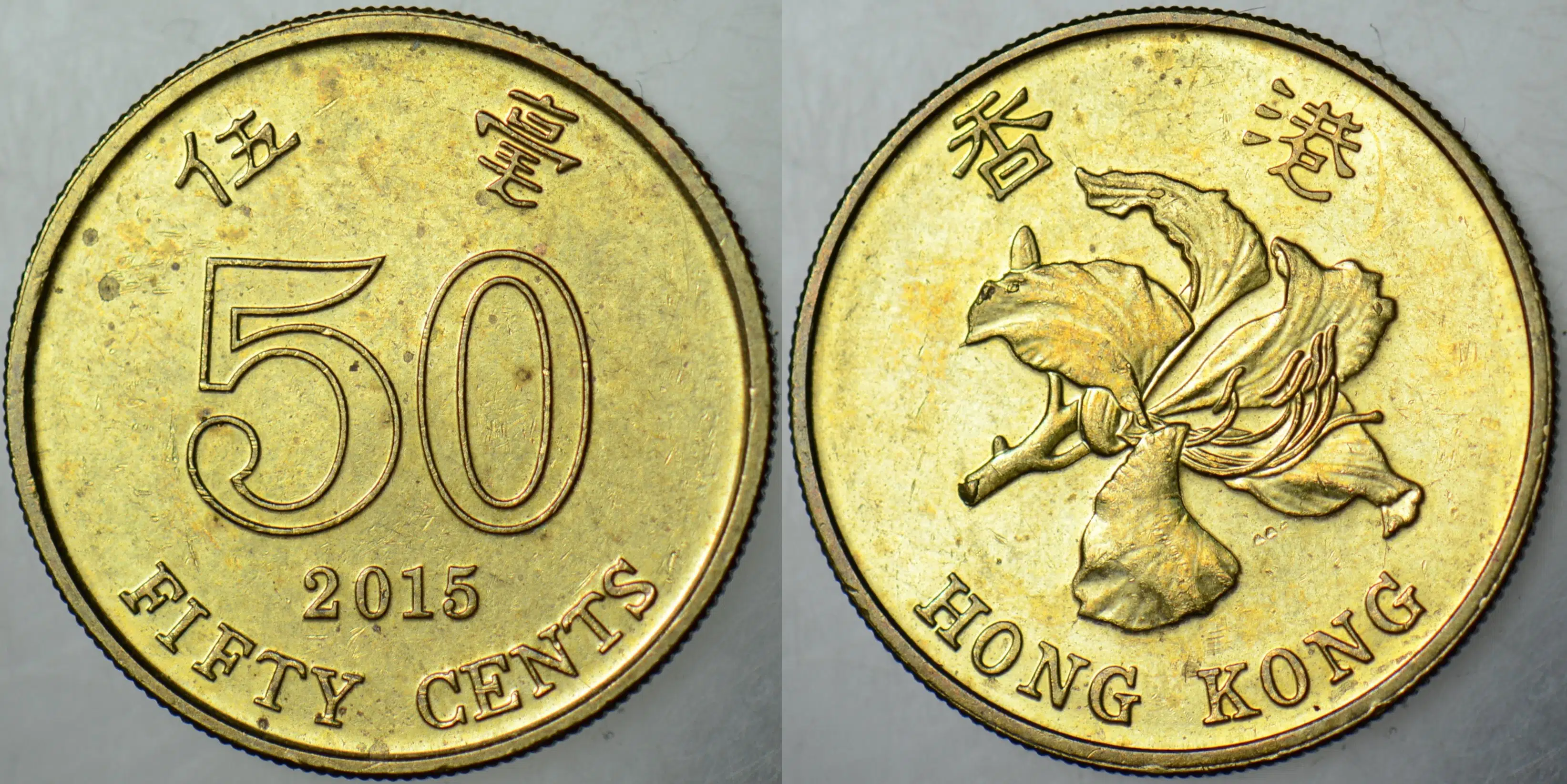 HONG KONG 50 CENT 2015 ÇİLALTI.