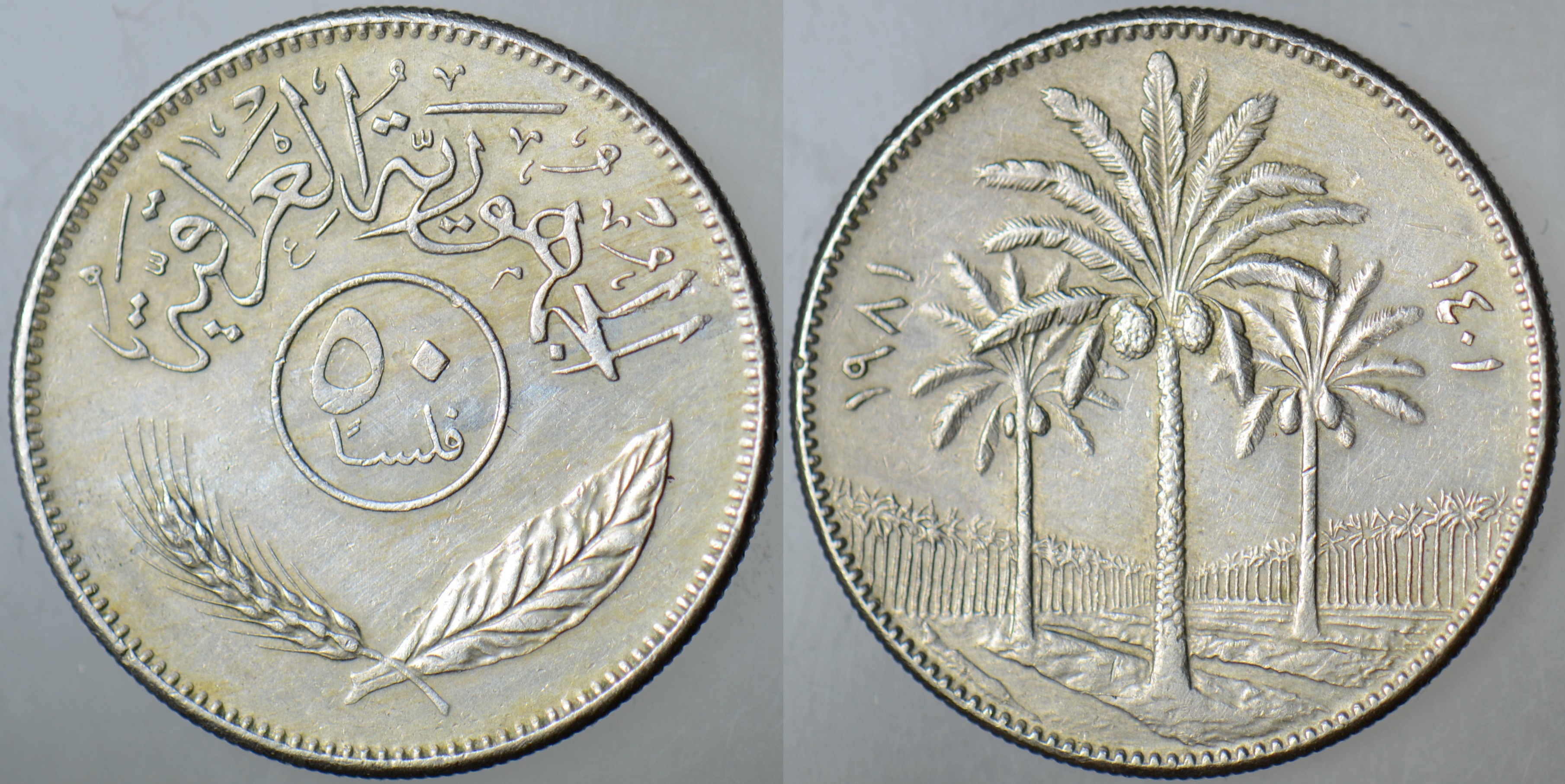 IRAK 50 FİLS 1981 PALMİYE.