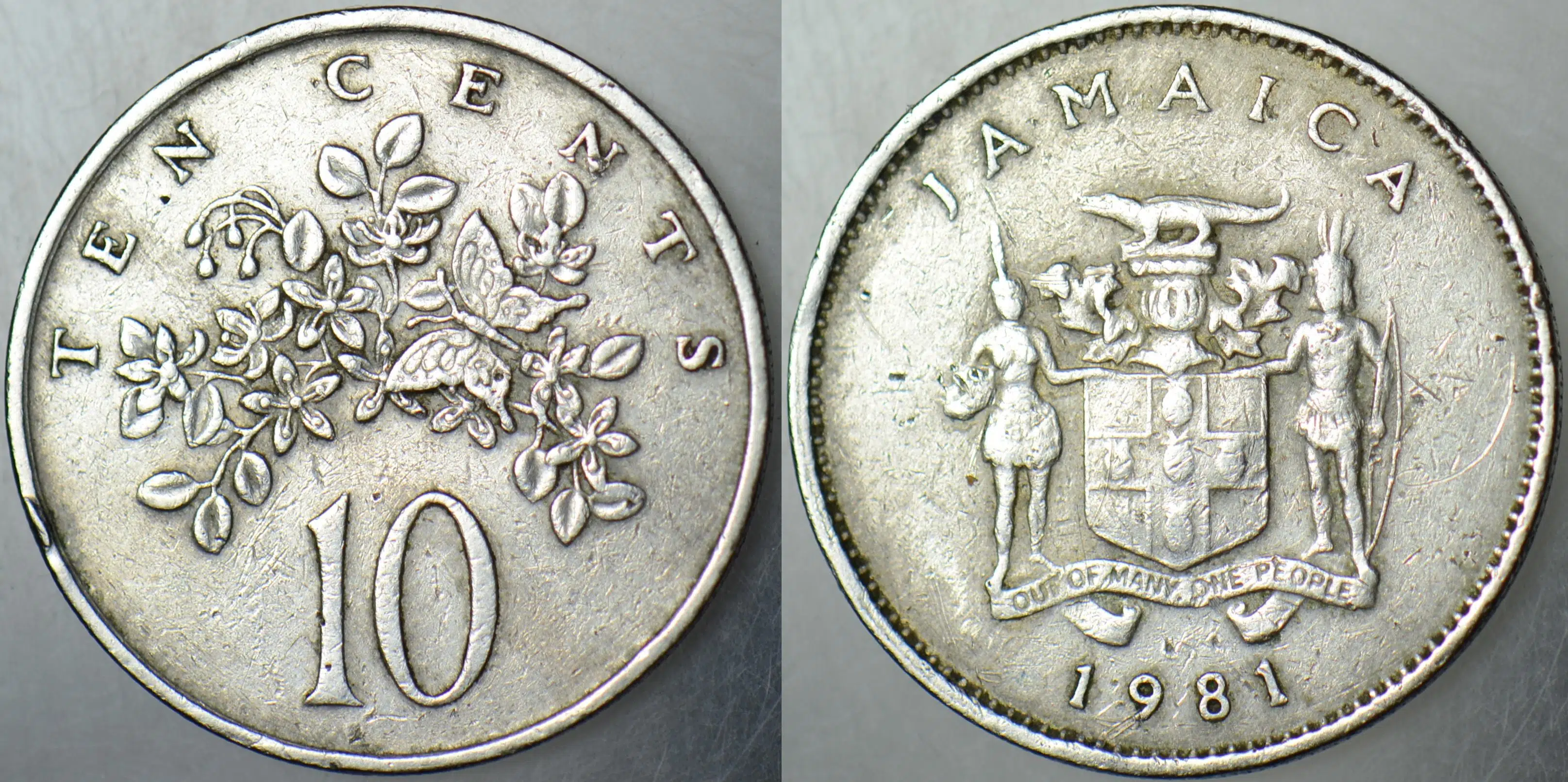 JAMAİKA 10 CENT 1981.