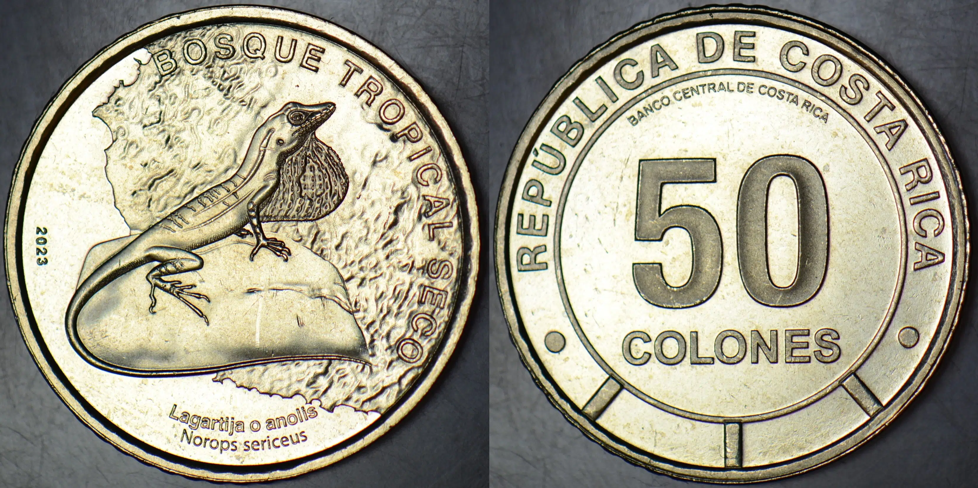 KOSTA RİKA 50 KOLON 2023 HATIRA-İPEKSİ KERTENKELE. ÇİL.