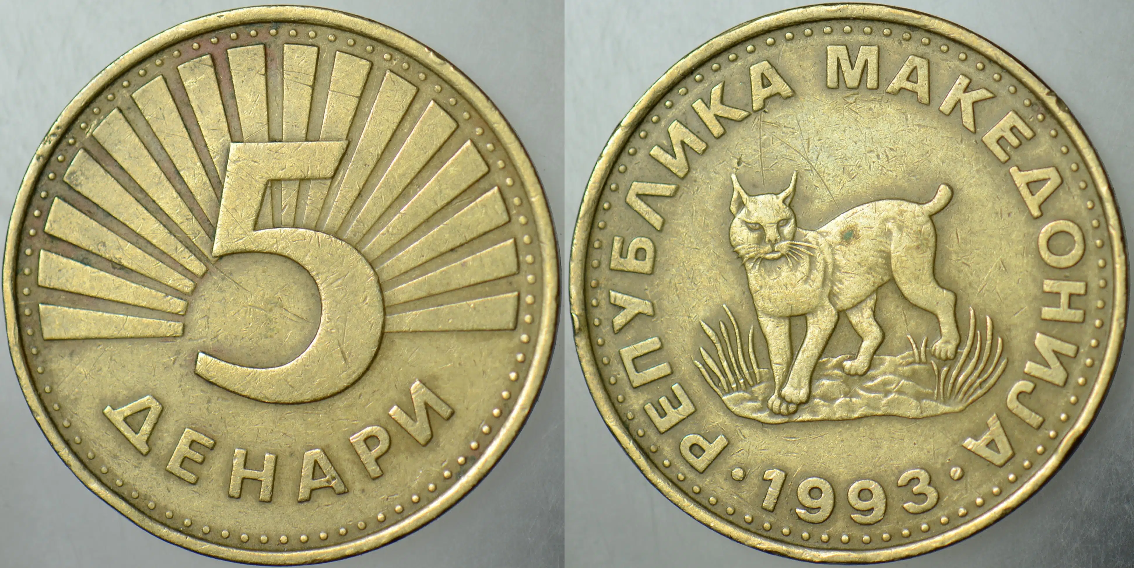 KUZEY MAKEDONYA 5 DENAR 1993 BALKAN VAŞAĞI TEMALI.