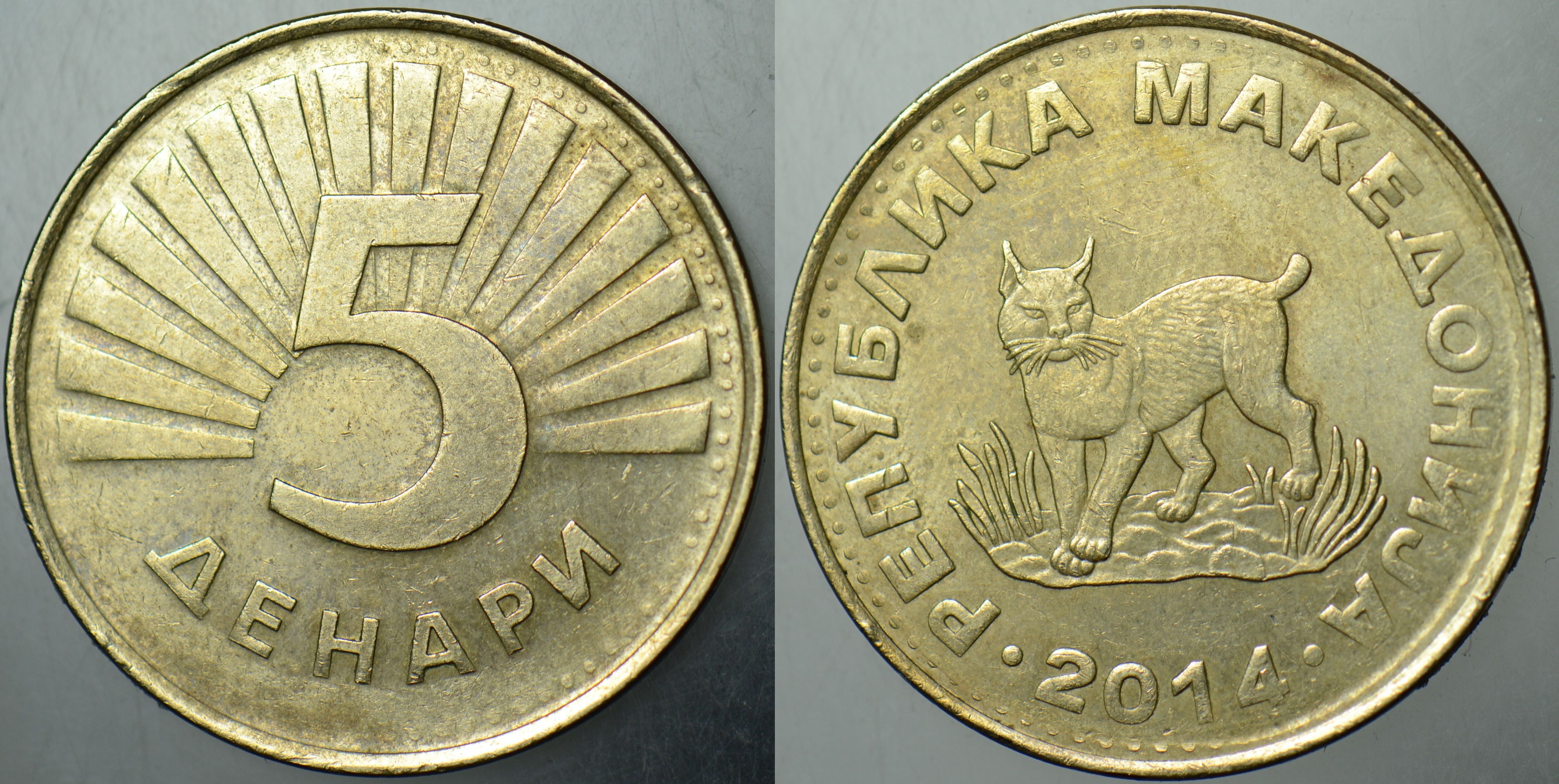 KUZEY MAKEDONYA 5 DENAR 2014 BALKAN VAŞAĞI TEMALI.