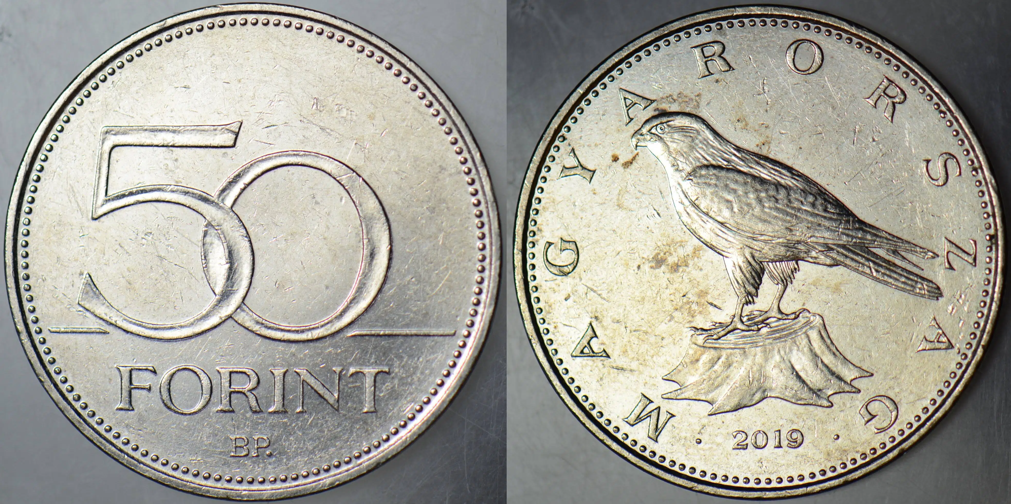 MACARİSTAN 50 FORİNT 2019 ŞAHİN TEMALI.