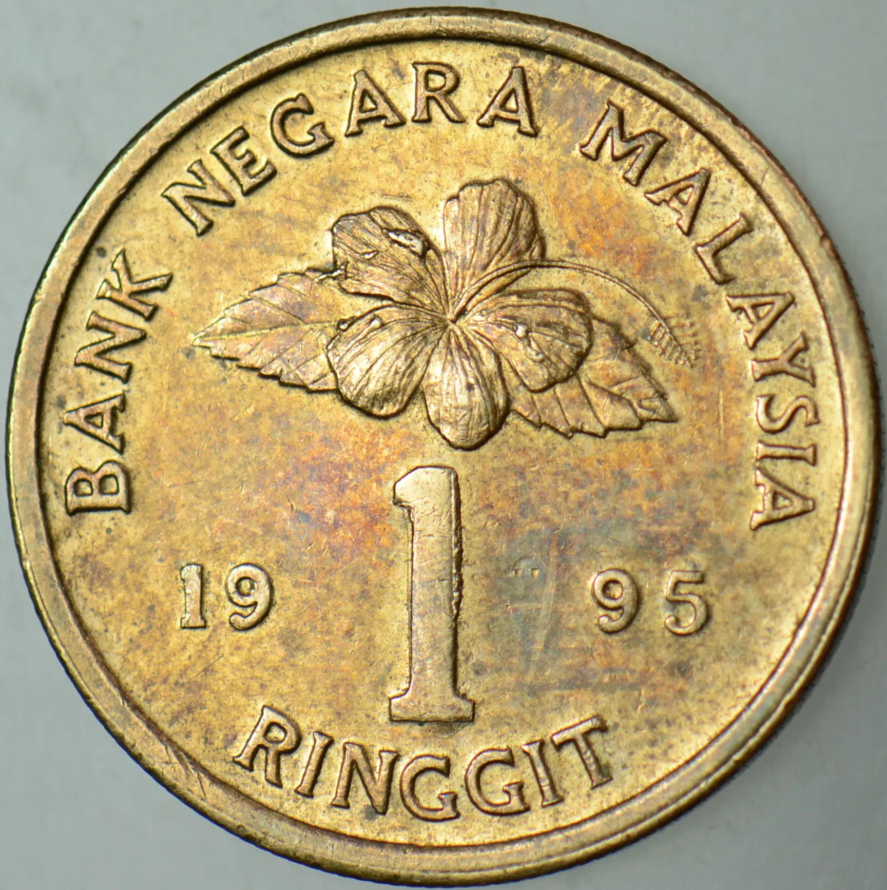 MALEZYA 1 RİNGGİT 1995.