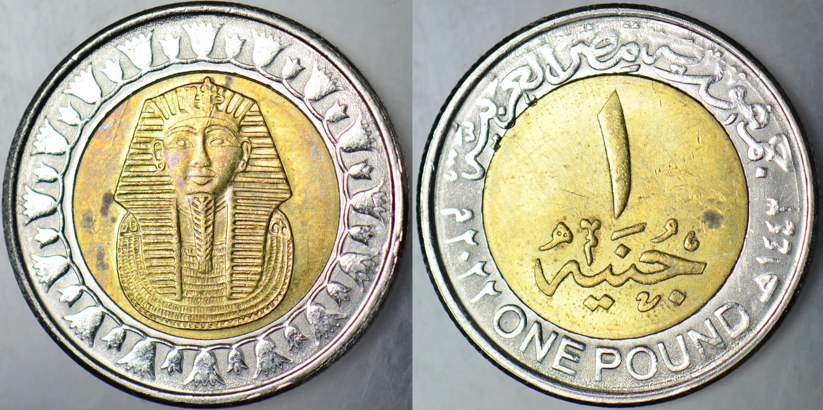 MISIR 1 POUND 2022 TUTANKHAMUN TEMALI. BİMETAL ÇİLALTI.