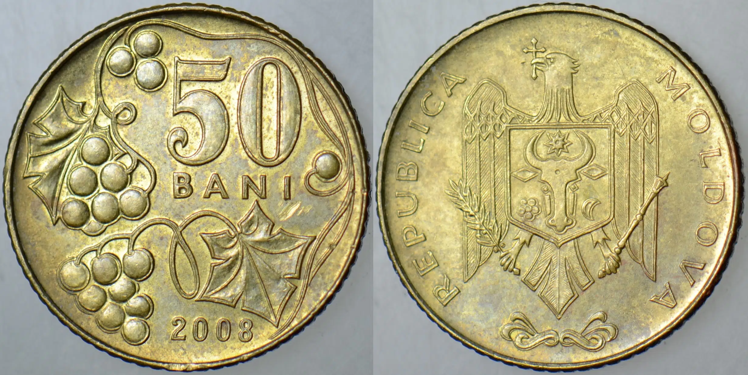 MOLDOVA 50 BANİ 2008.