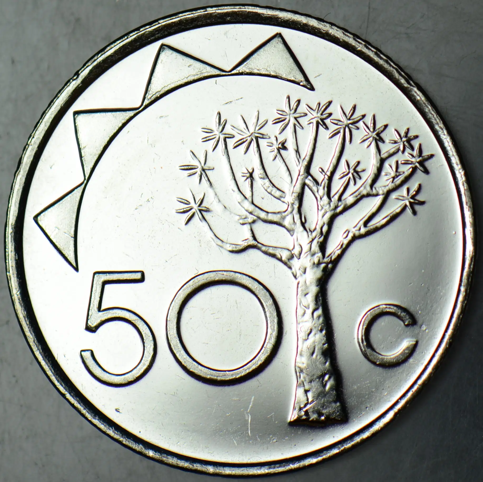 NAMİBYA 50 CENT 2010 ÇİL.