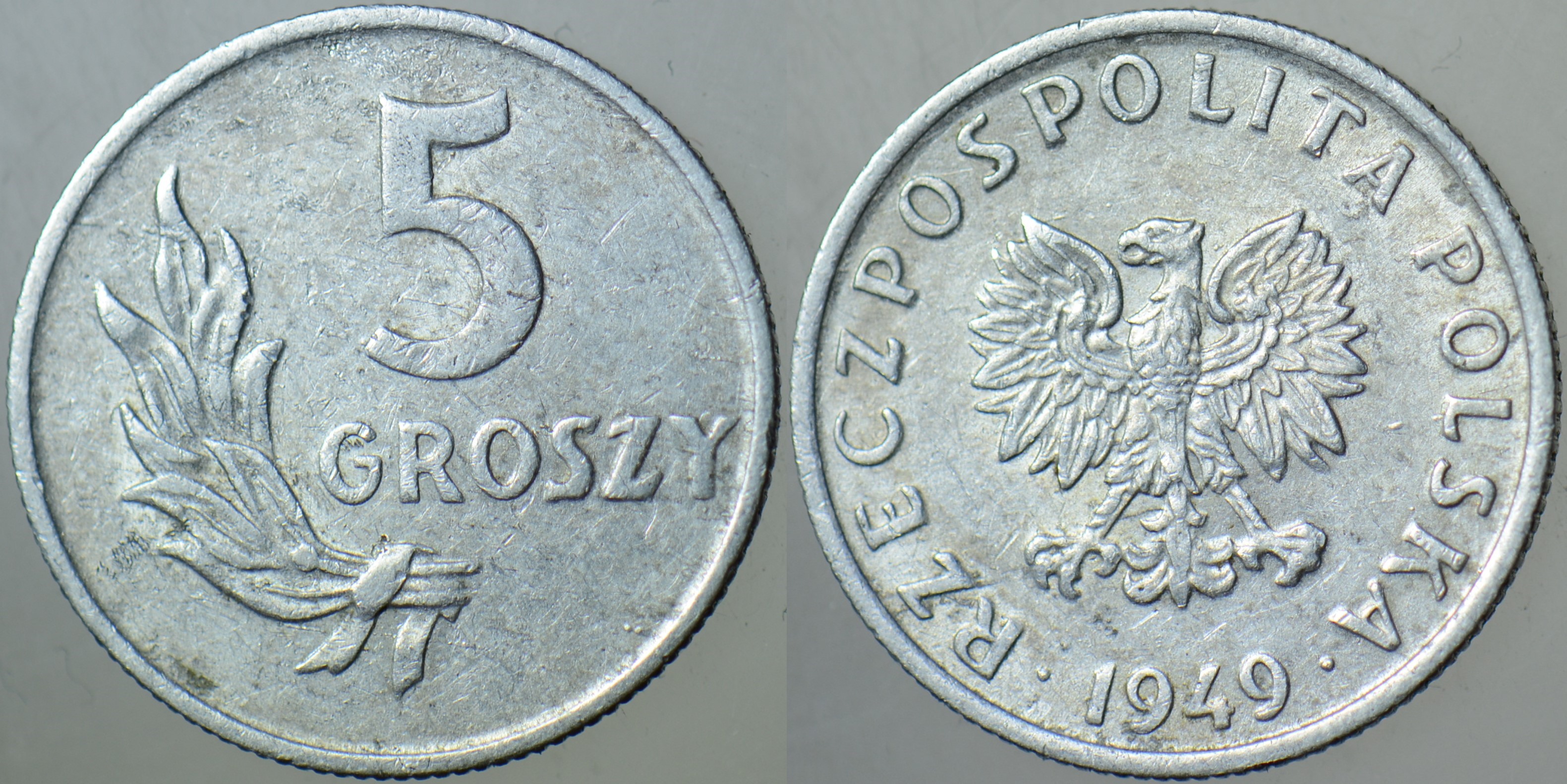 POLONYA 5 GROSZY 1949.
