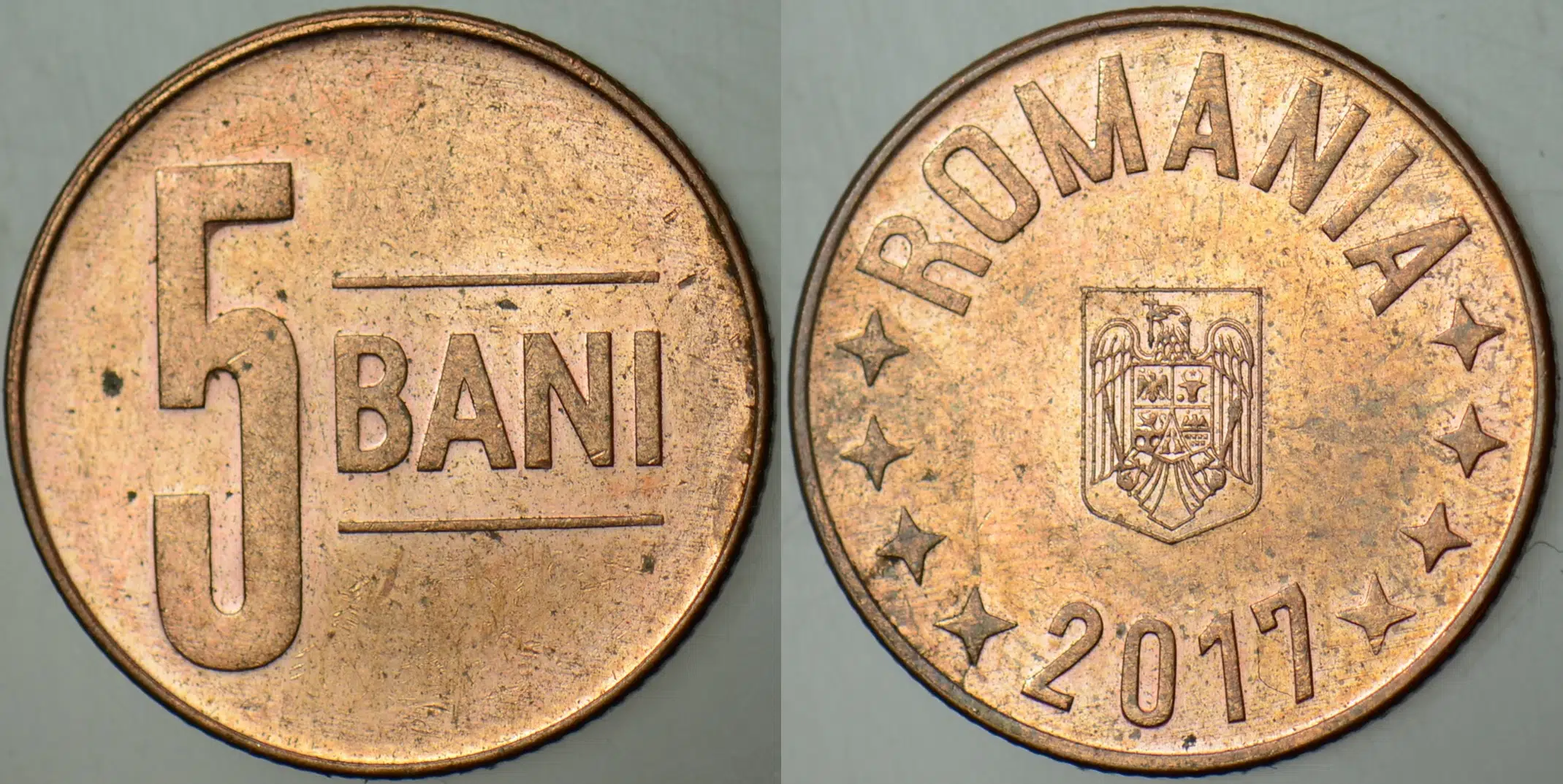 ROMANYA 5 BANI 2017 ÇİLALTI.