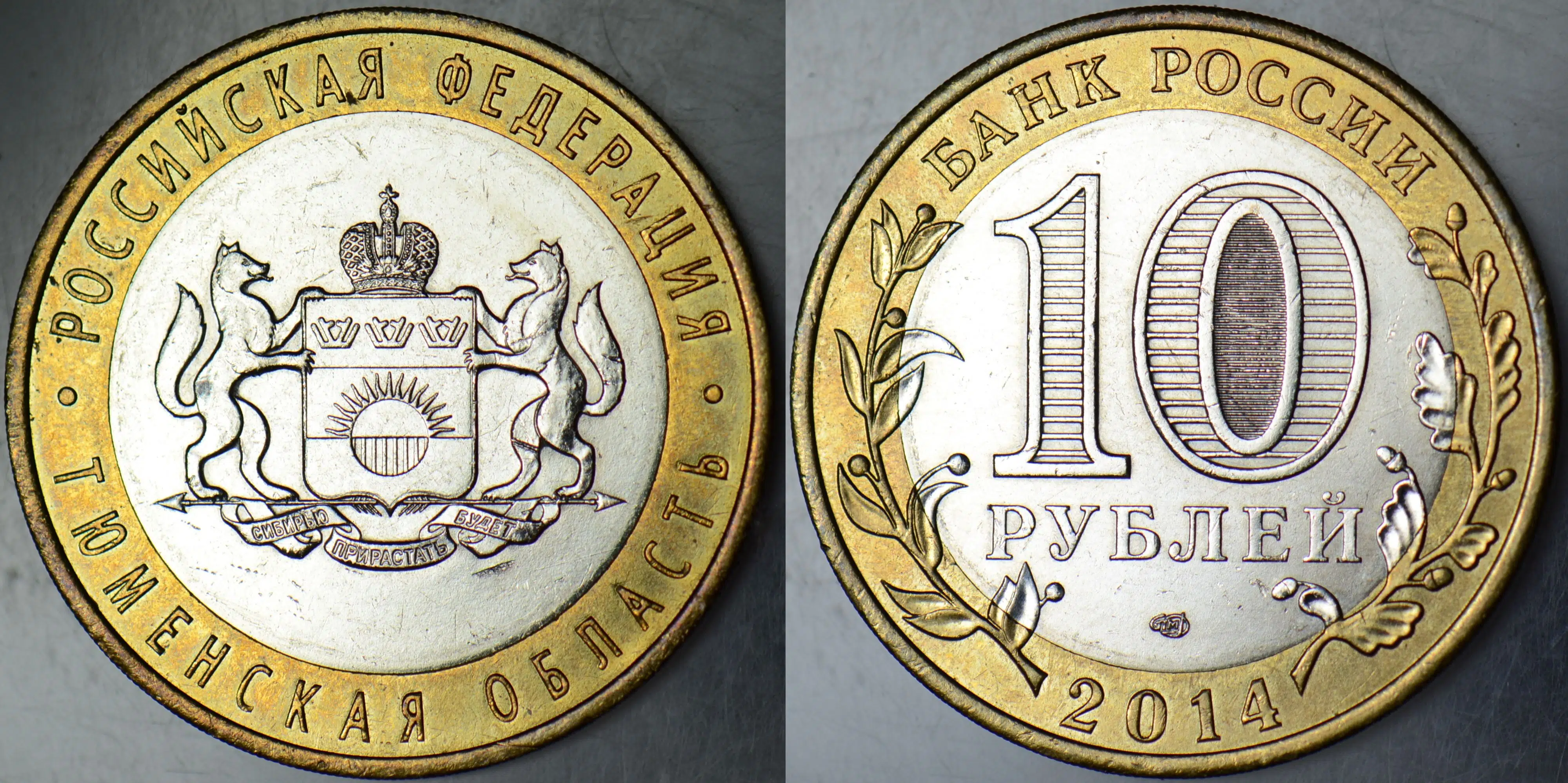 RUSYA 10 RUBLE 2014 HATIRA-TYUMEN OBLASTI. BİMETAL ÇİLALTI