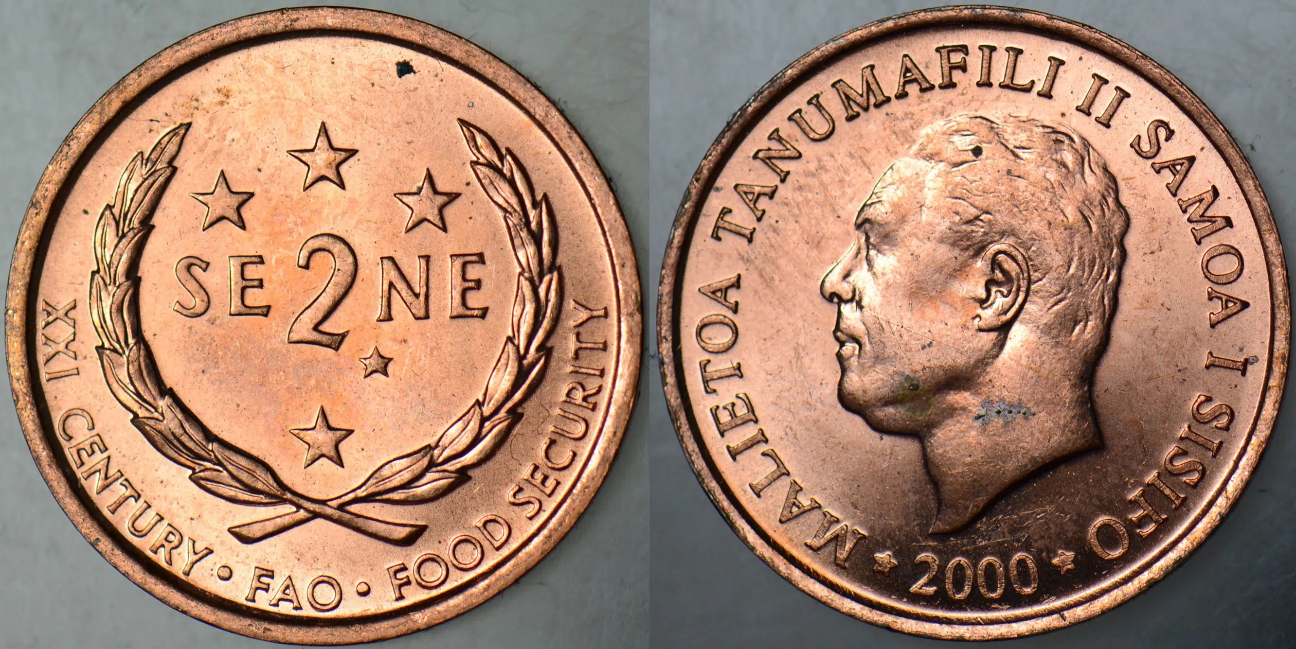 SAMOA 2 SENE 2000 ÇİL.