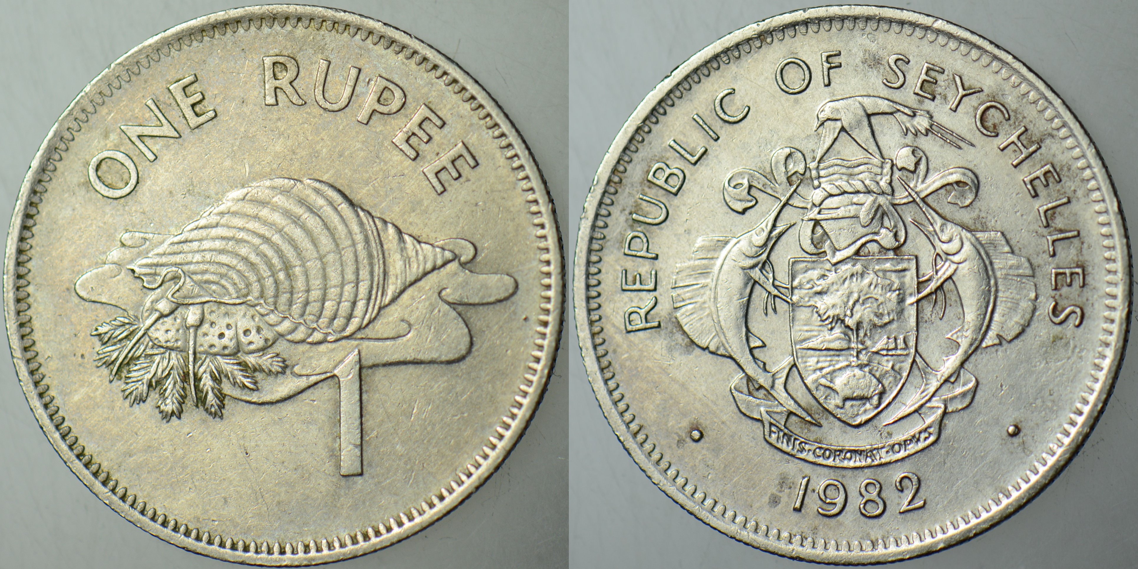 SEYŞELLER 1 RUPİ 1982 BU TİPİN BASILDIĞI İLK YIL. DEV TRİTON SALYANGOZU-KILIÇ BALIĞI.