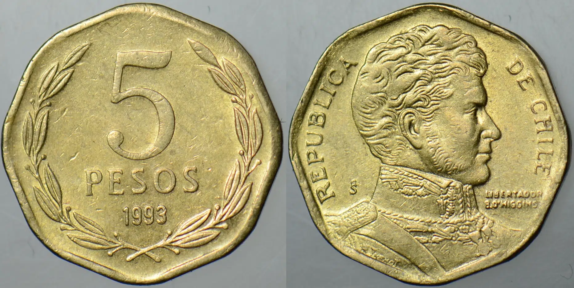 ŞİLİ 5 PESO 1993 ÇİLALTI.