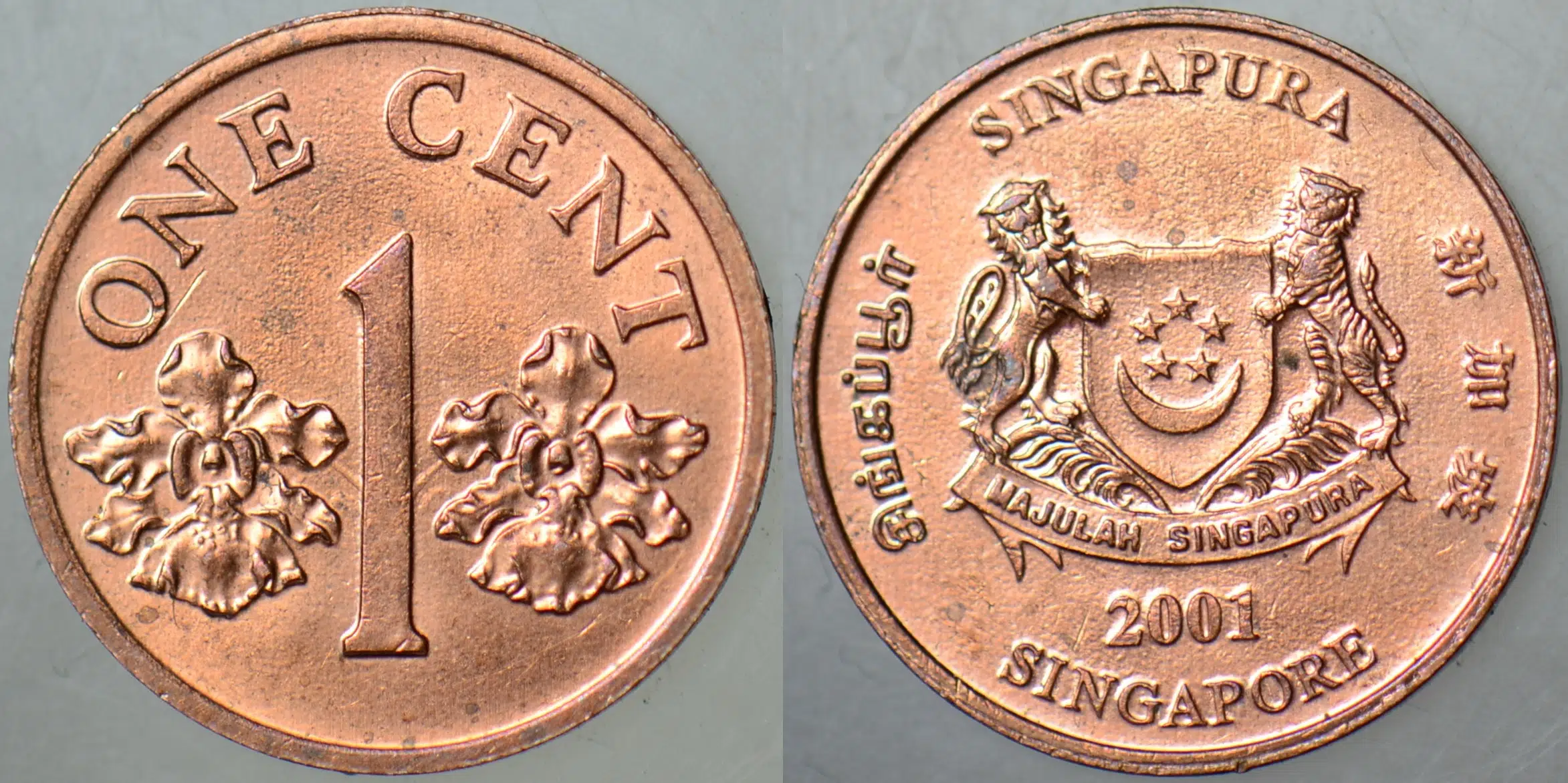 SİNGAPUR 1 CENT 2001 ÇİLALTI+