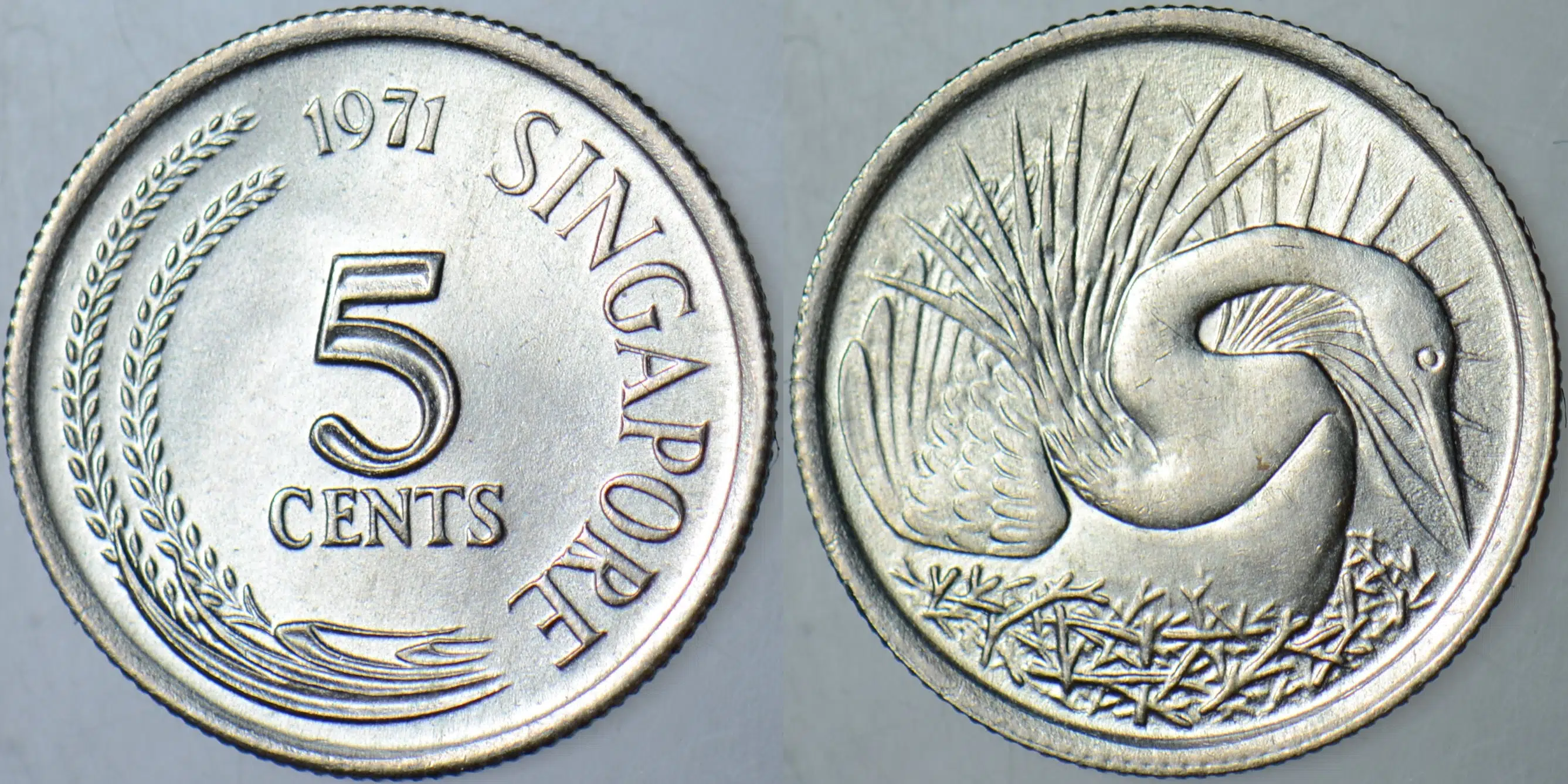 SİNGAPUR 5 CENT 1971 YILAN KUŞU TEMALI. ÇİL(-)