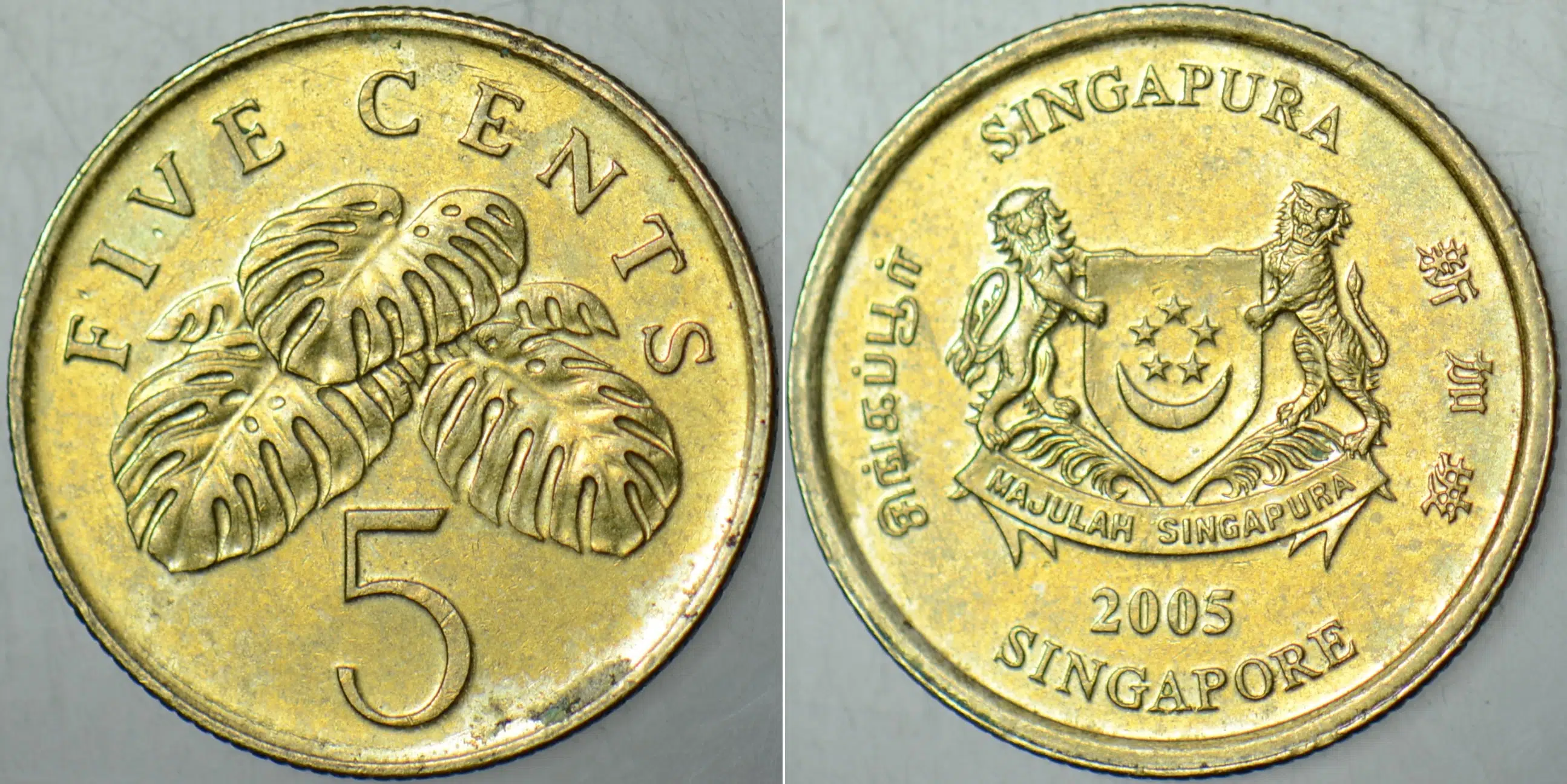 SİNGAPUR 5 CENT 2005.