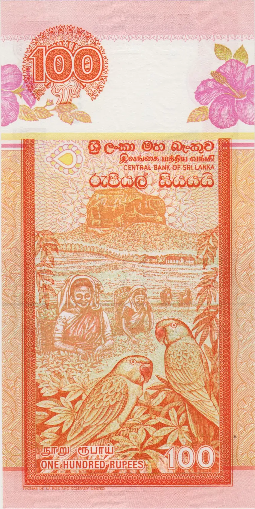 SRİ LANKA 100 RUPİ 2005 ÇİL.