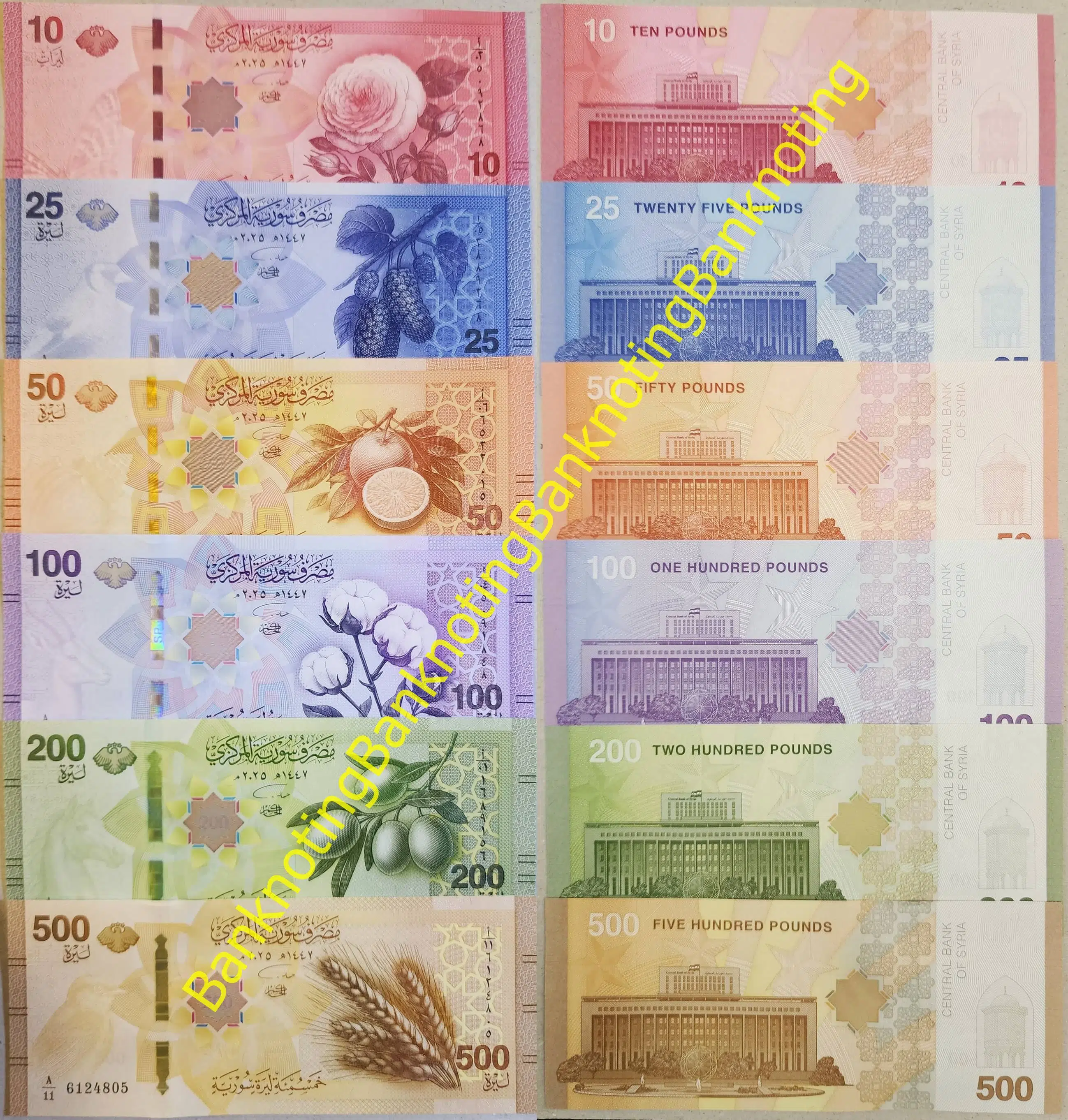 SURİYE YENİ SET 10-500 POUND 2025 ÇİL.